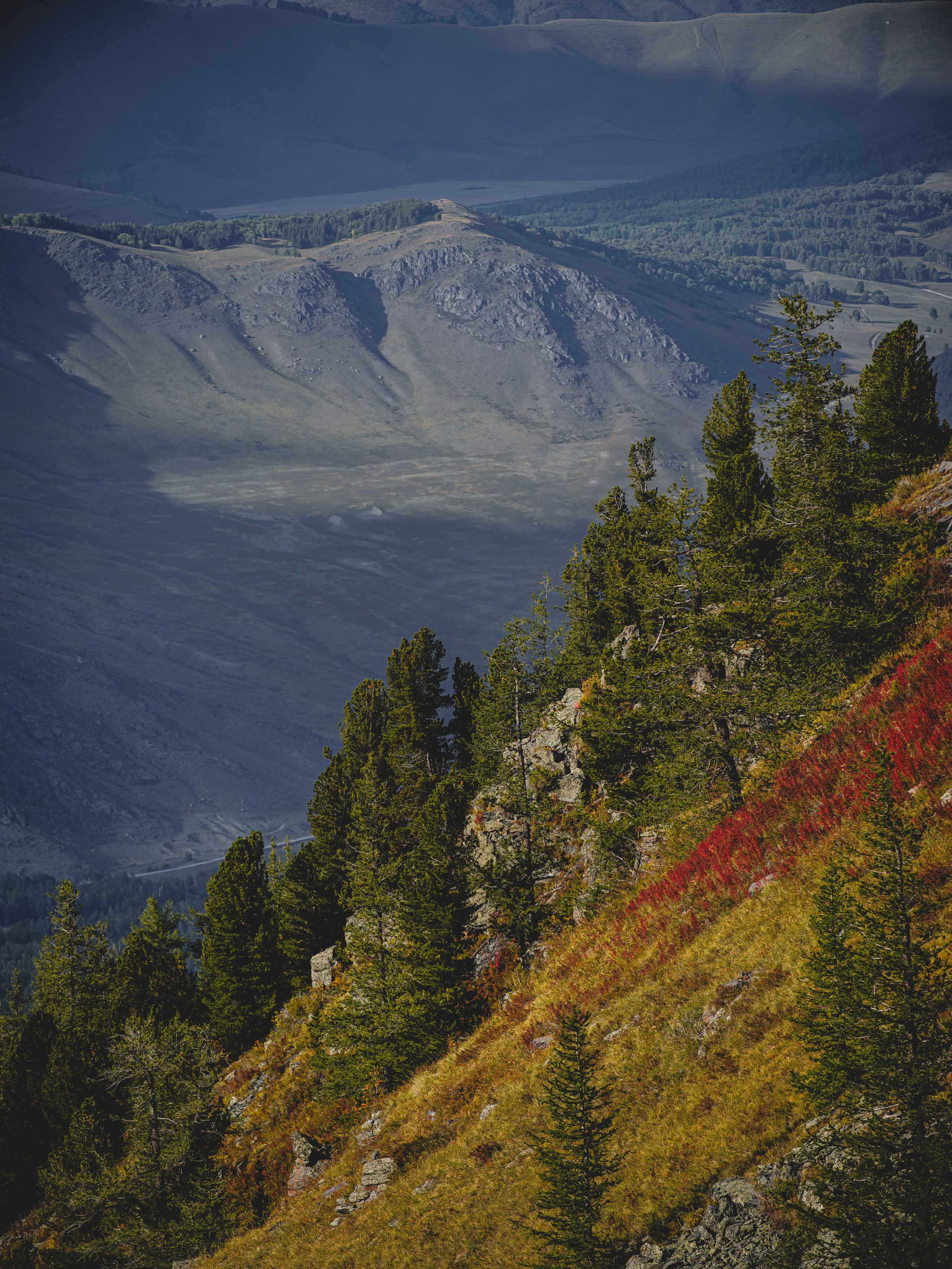 Экспедиция NatGeo Kazakhstan Алтай. Свадебный и Студийный фотограф из Казахстана Артем Орлянский