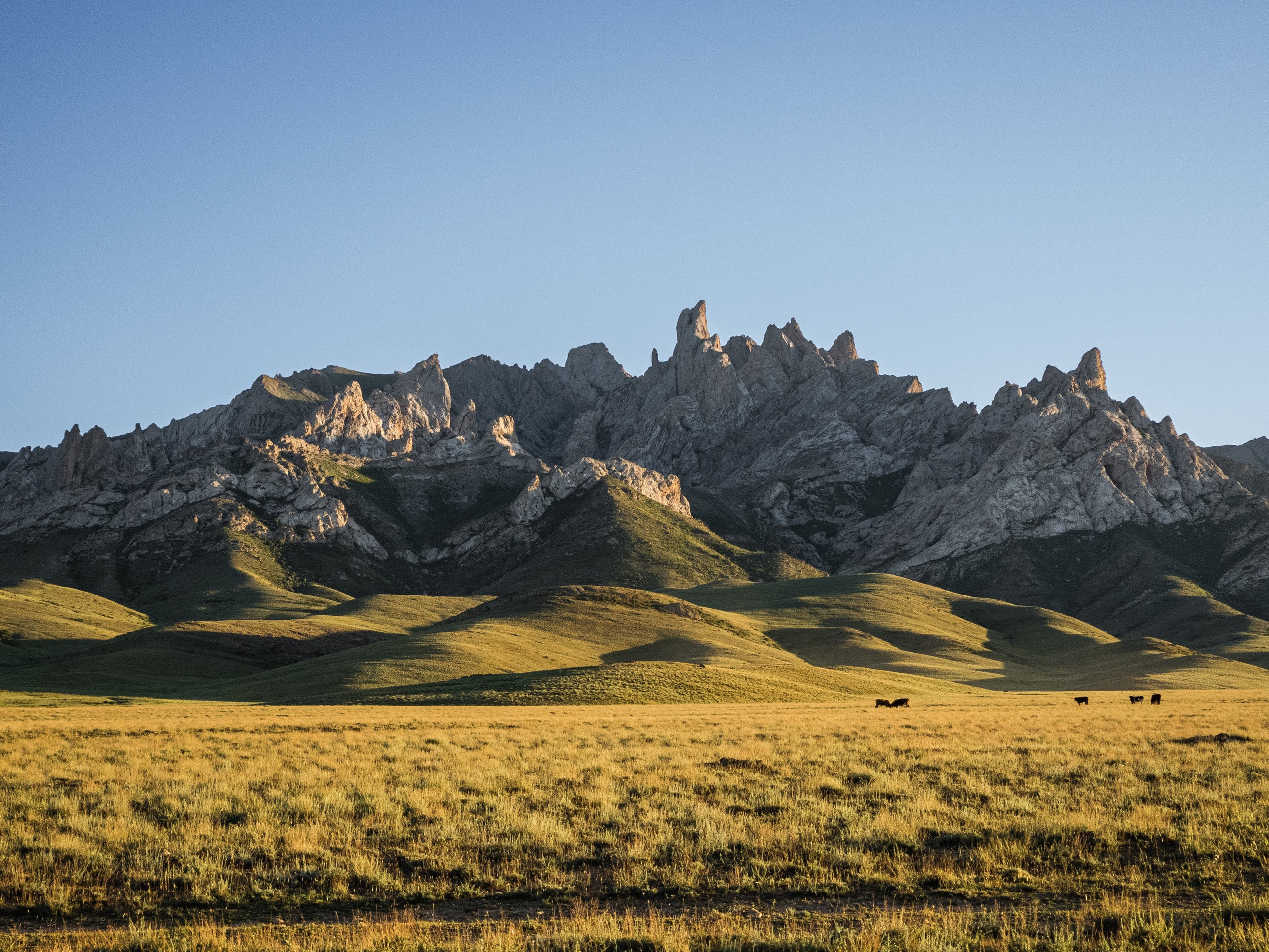 Экспедиция NatGeo Kazakhstan ЮКО. Свадебный и Студийный фотограф из Казахстана Артем Орлянский