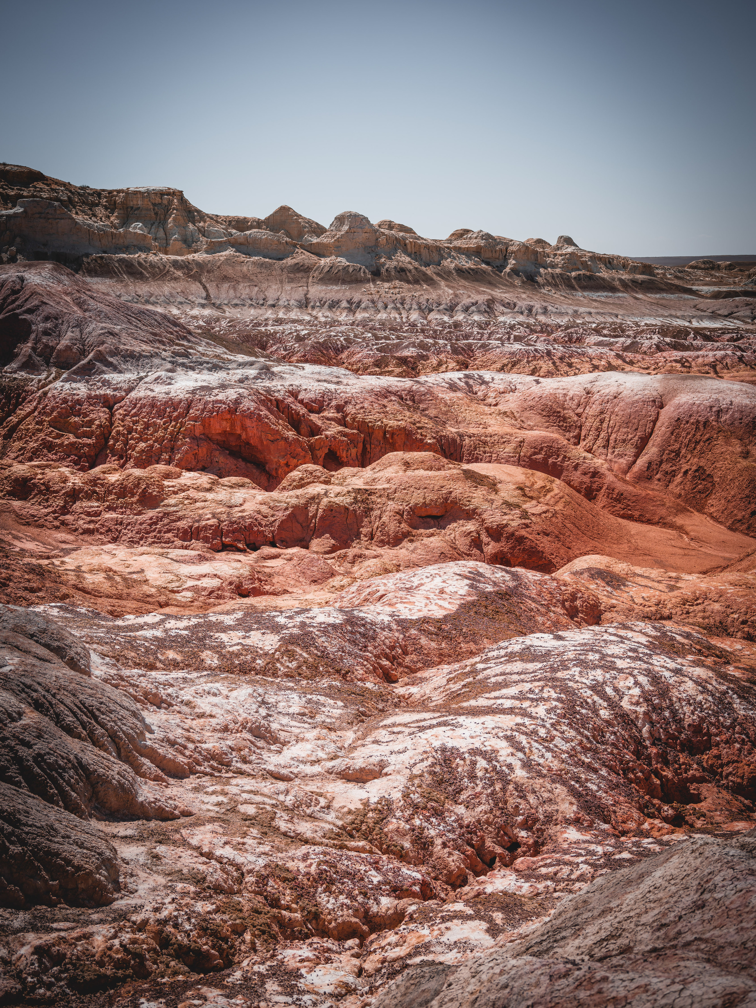 Экспедиция NatGeo Kazakhstan Алтай. Свадебный и Студийный фотограф из Казахстана Артем Орлянский