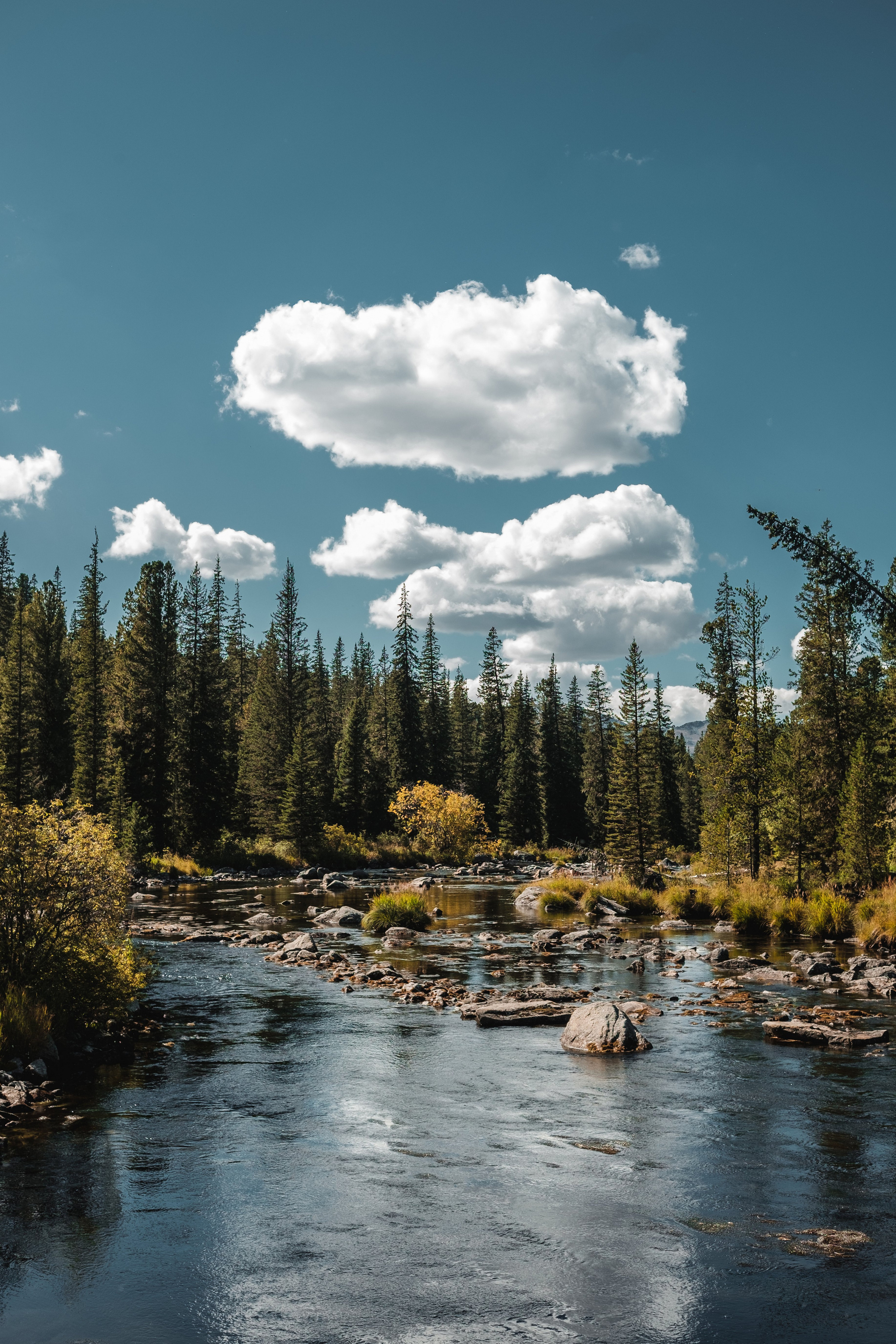 Экспедиция NatGeo Kazakhstan Алтай. Свадебный и Студийный фотограф из Казахстана Артем Орлянский