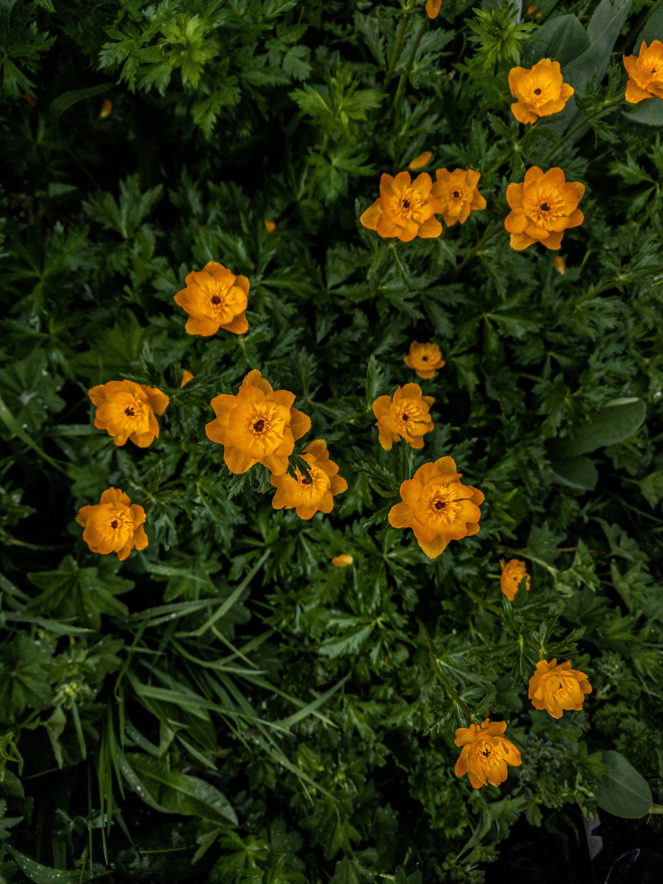 Экспедиция NatGeo Kazakhstan ЮКО. Свадебный и Студийный фотограф из Казахстана Артем Орлянский