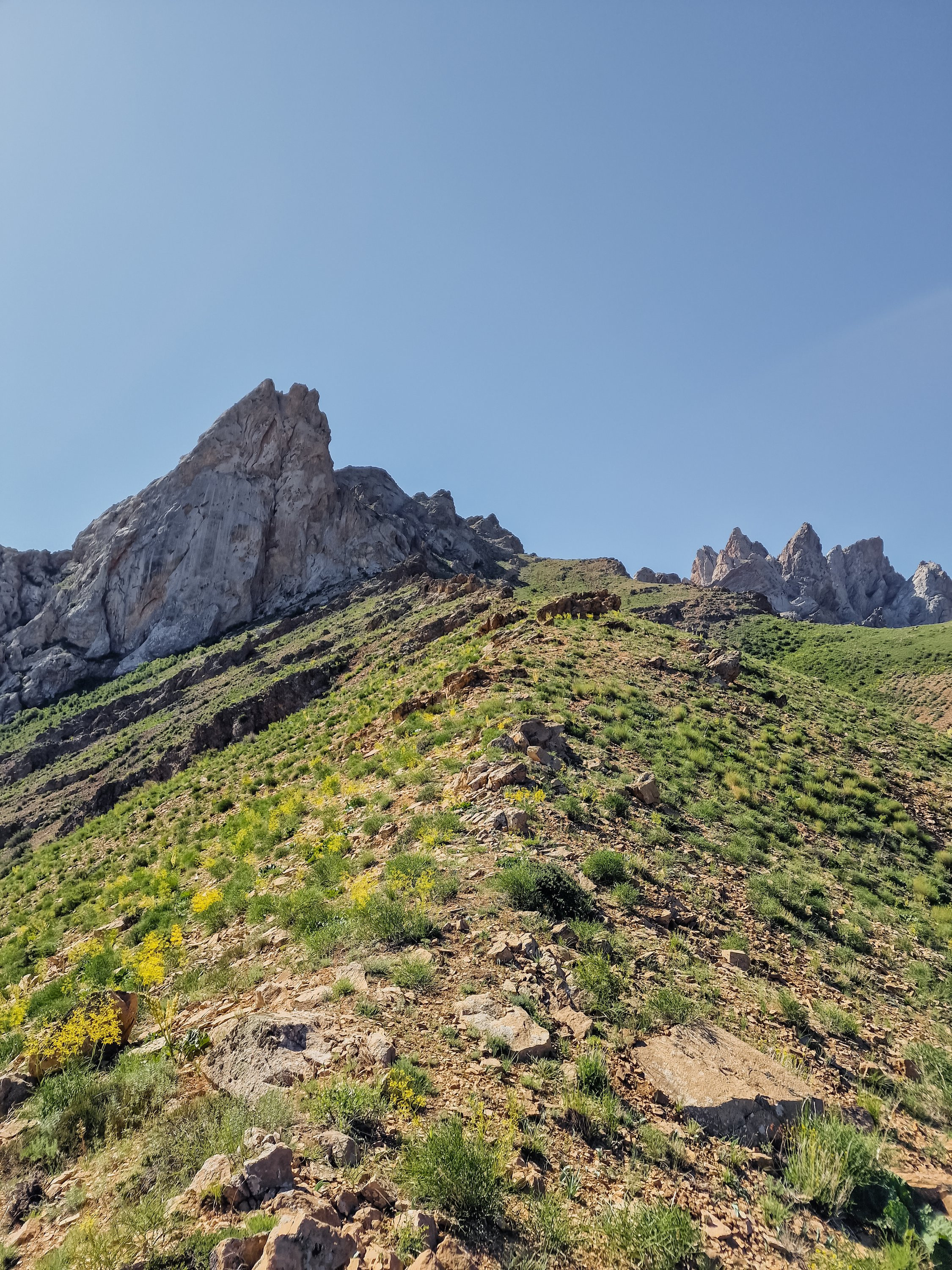 Экспедиция NatGeo Kazakhstan ЮКО. Свадебный и Студийный фотограф из Казахстана Артем Орлянский
