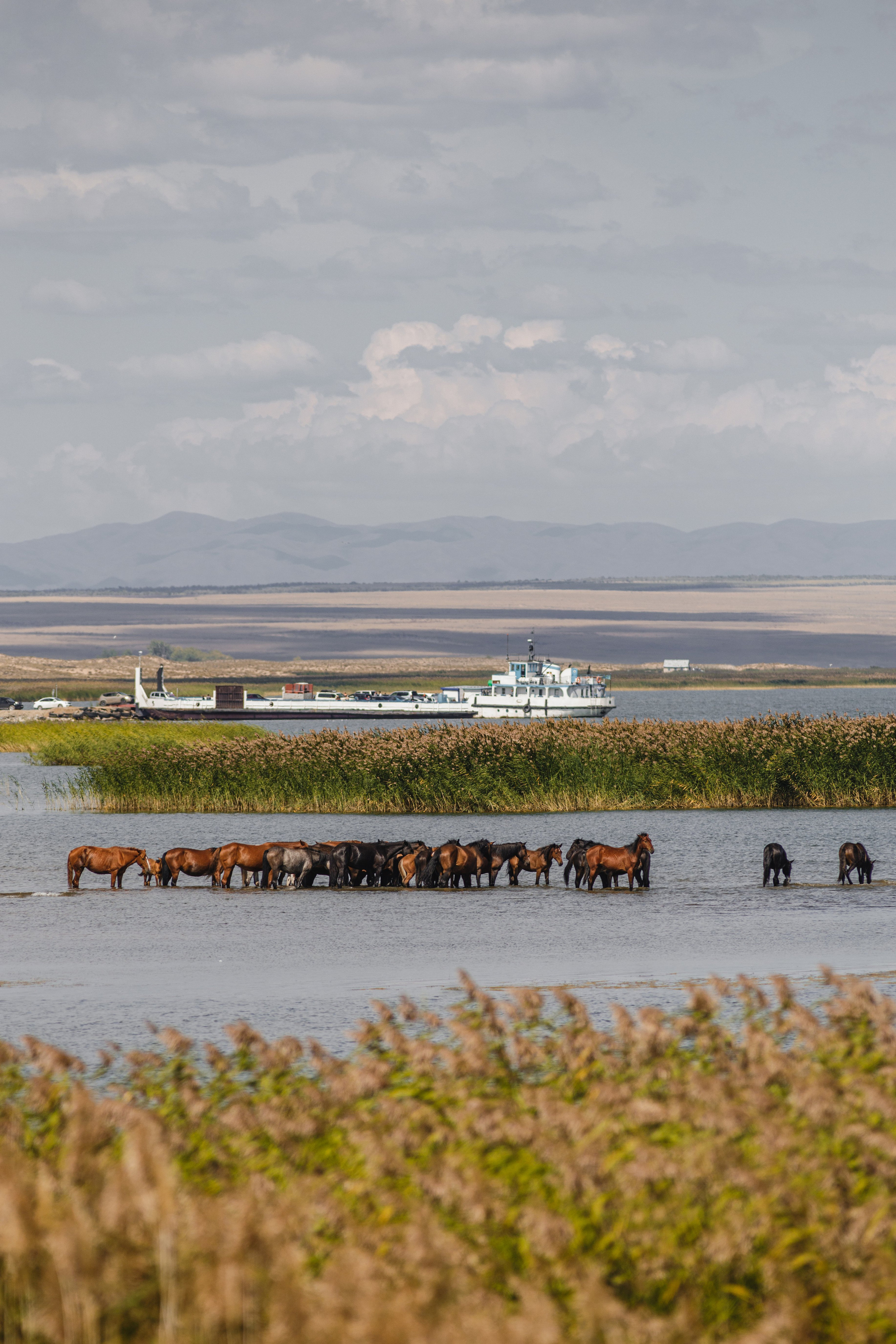 Экспедиция NatGeo Kazakhstan Алтай. Свадебный и Студийный фотограф из Казахстана Артем Орлянский