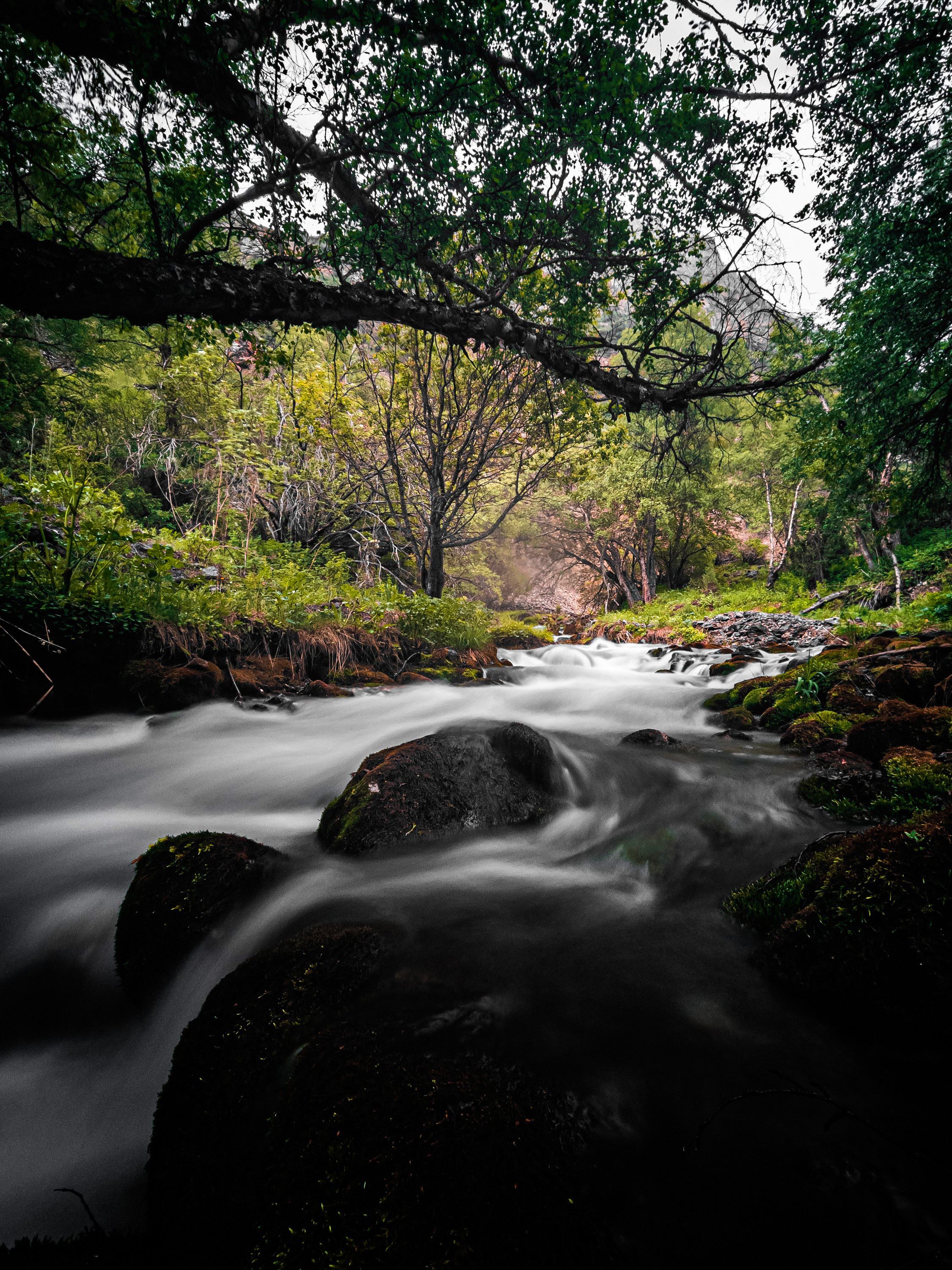 Экспедиция NatGeo Kazakhstan ЮКО. Свадебный и Студийный фотограф из Казахстана Артем Орлянский