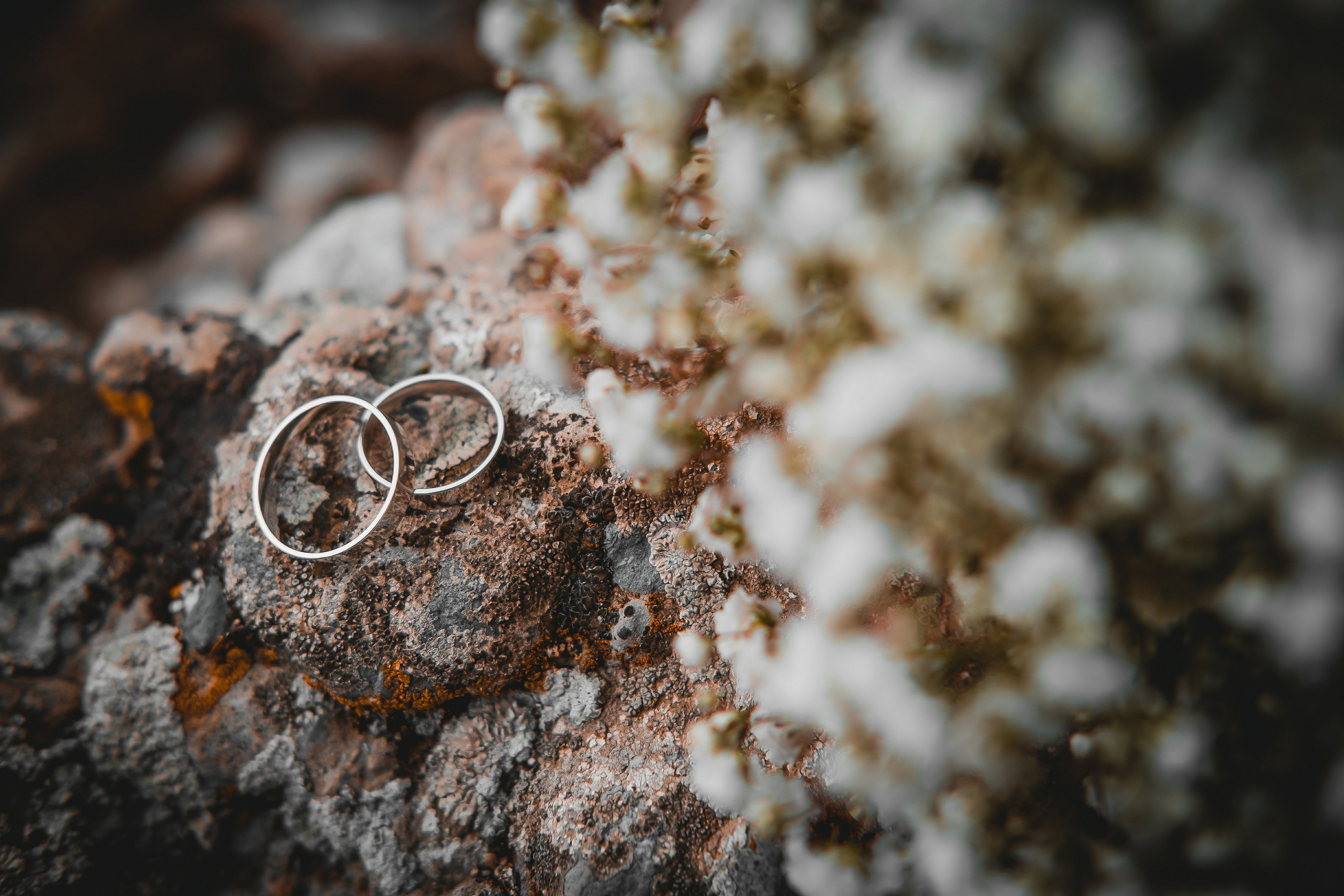 Свадебные фотографии. Свадебный и Студийный фотограф из Казахстана Артем Орлянский