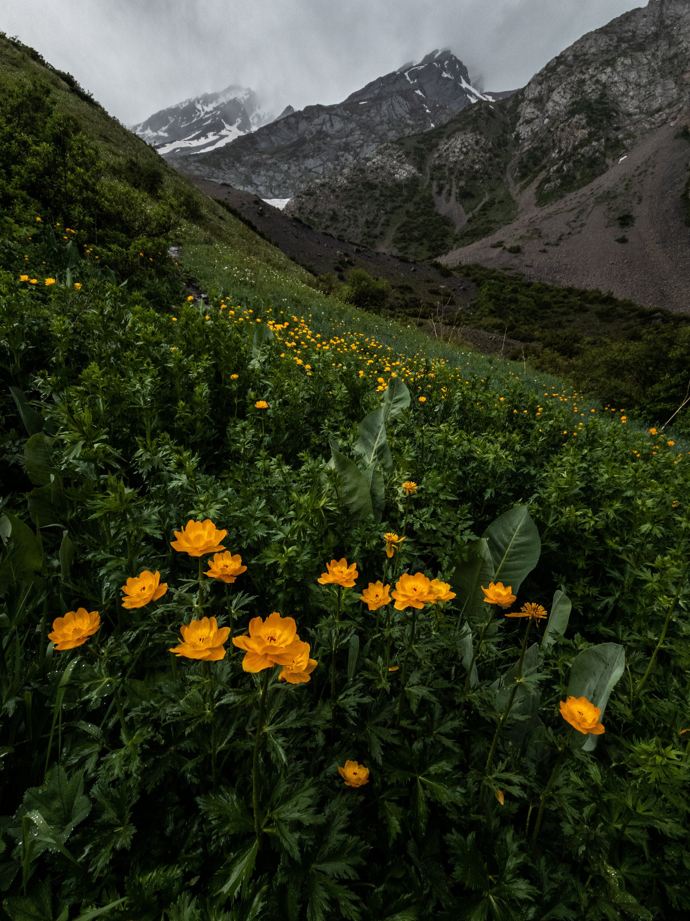 Экспедиция NatGeo Kazakhstan ЮКО. Свадебный и Студийный фотограф из Казахстана Артем Орлянский