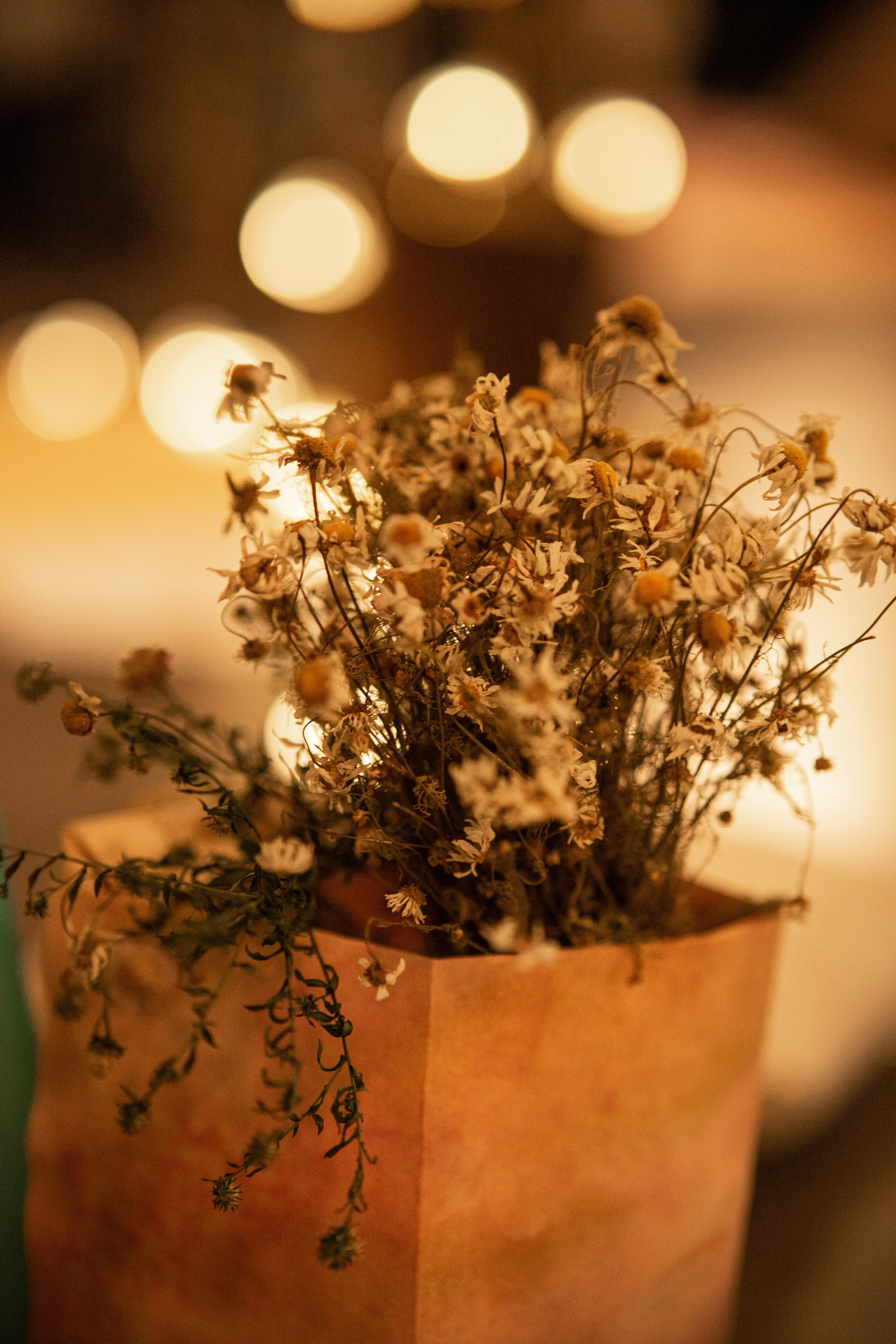 Dance. Фотограф Софья Горбунова
