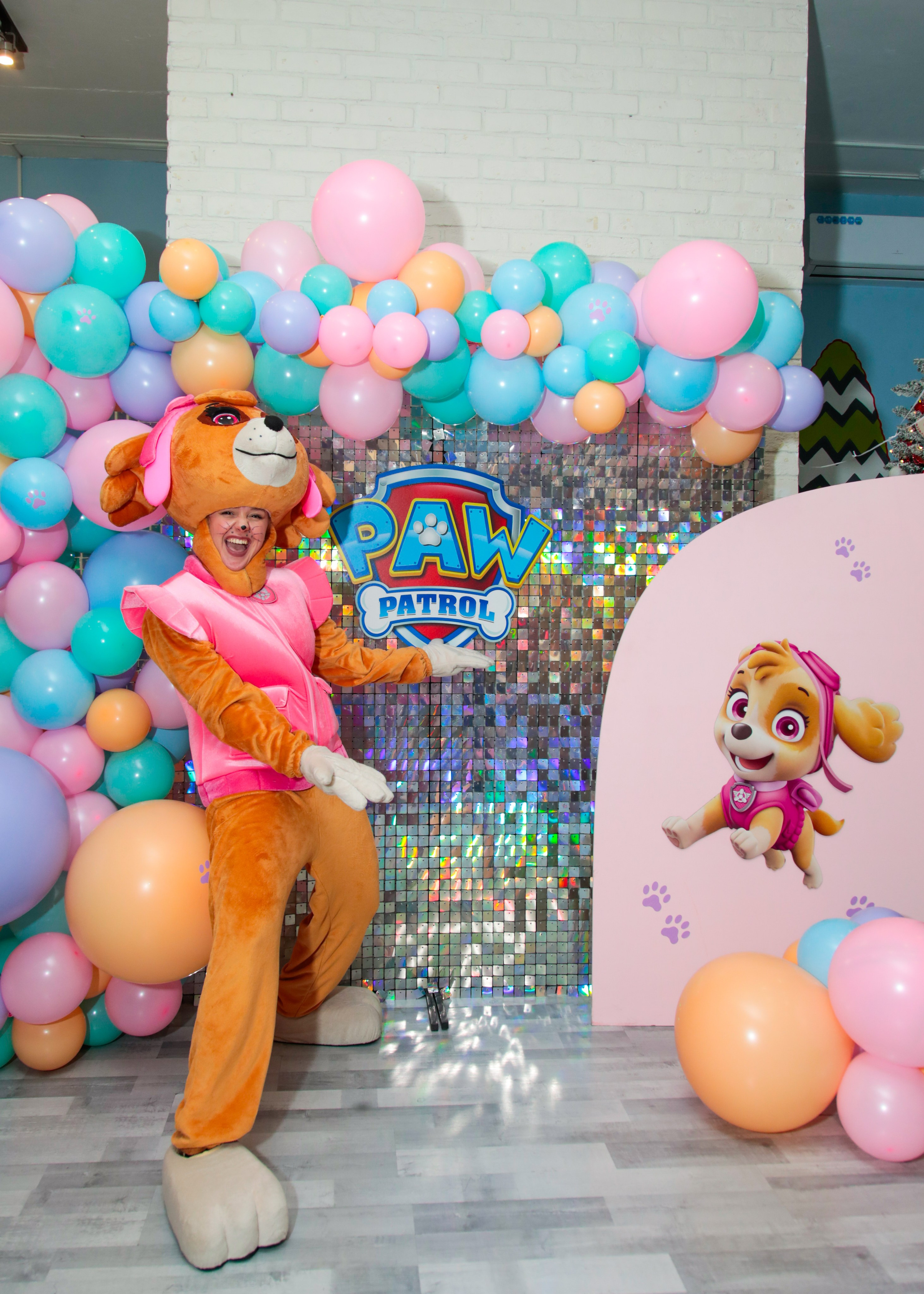 День Рождения Щенячий патруль. Фотограф Олеся Милош Мытищи, Москва и МО и весь мир