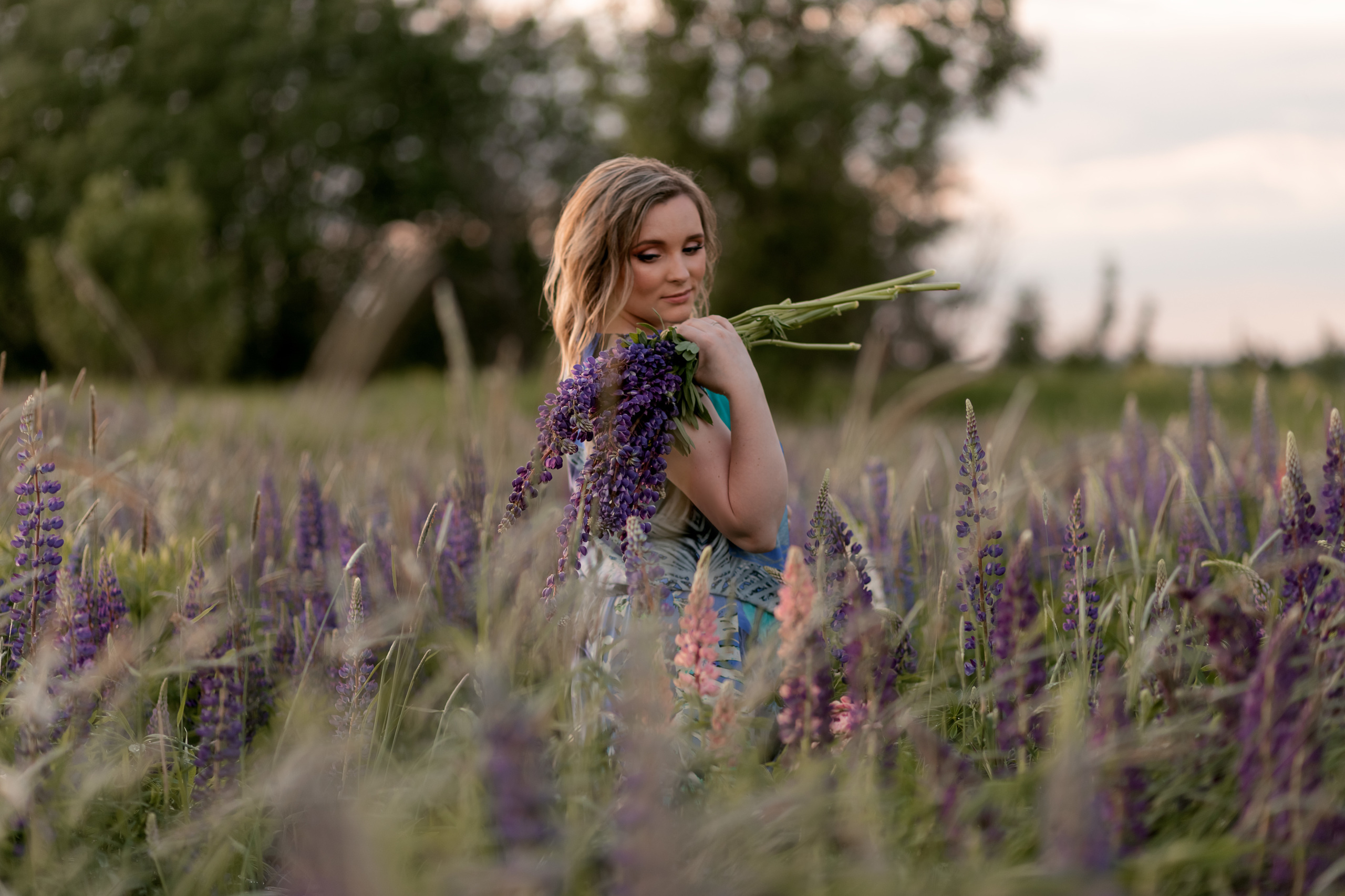 Люпины. Катерина Растокина фотограф в Санкт-Петербурге
