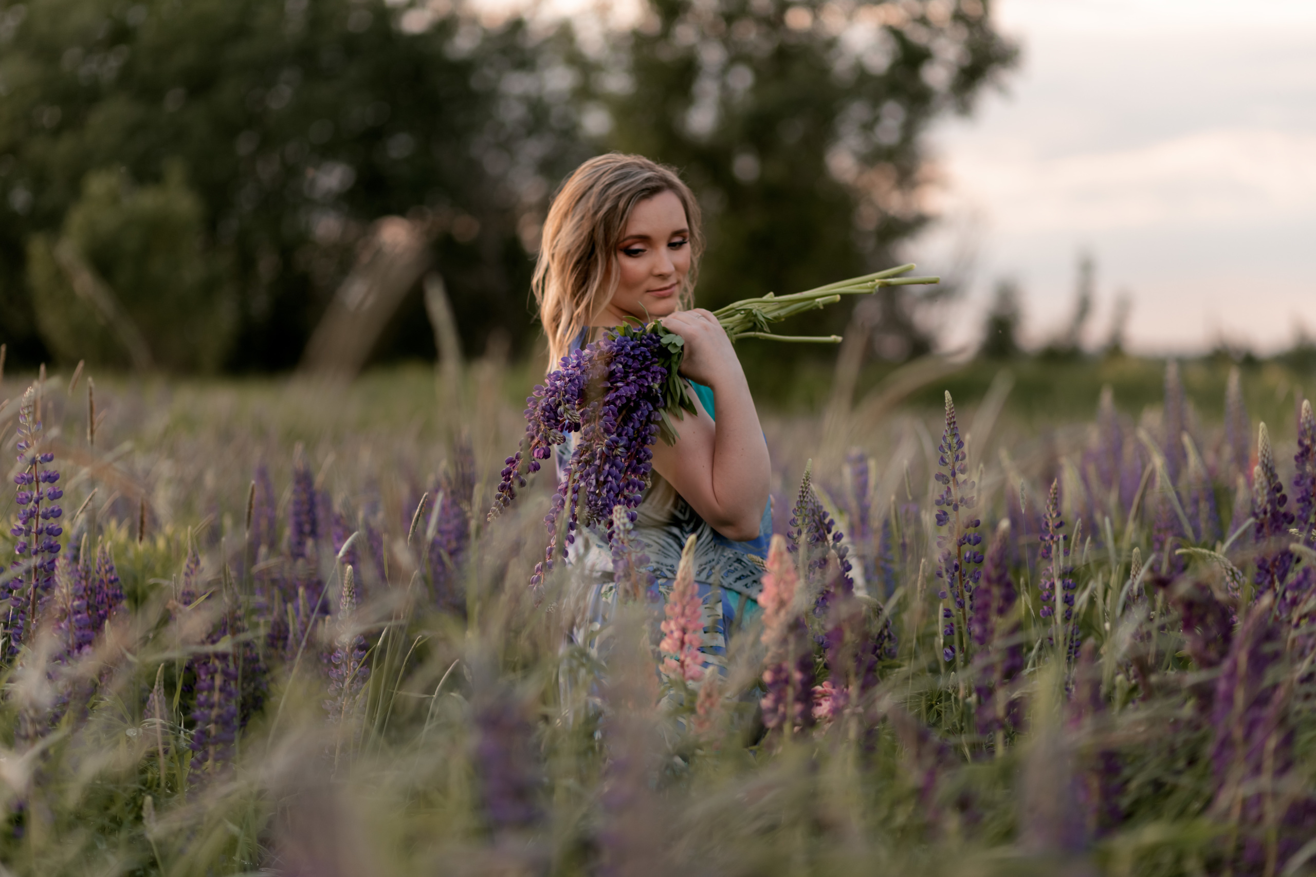 Люпины. Катерина Растокина фотограф в Санкт-Петербурге