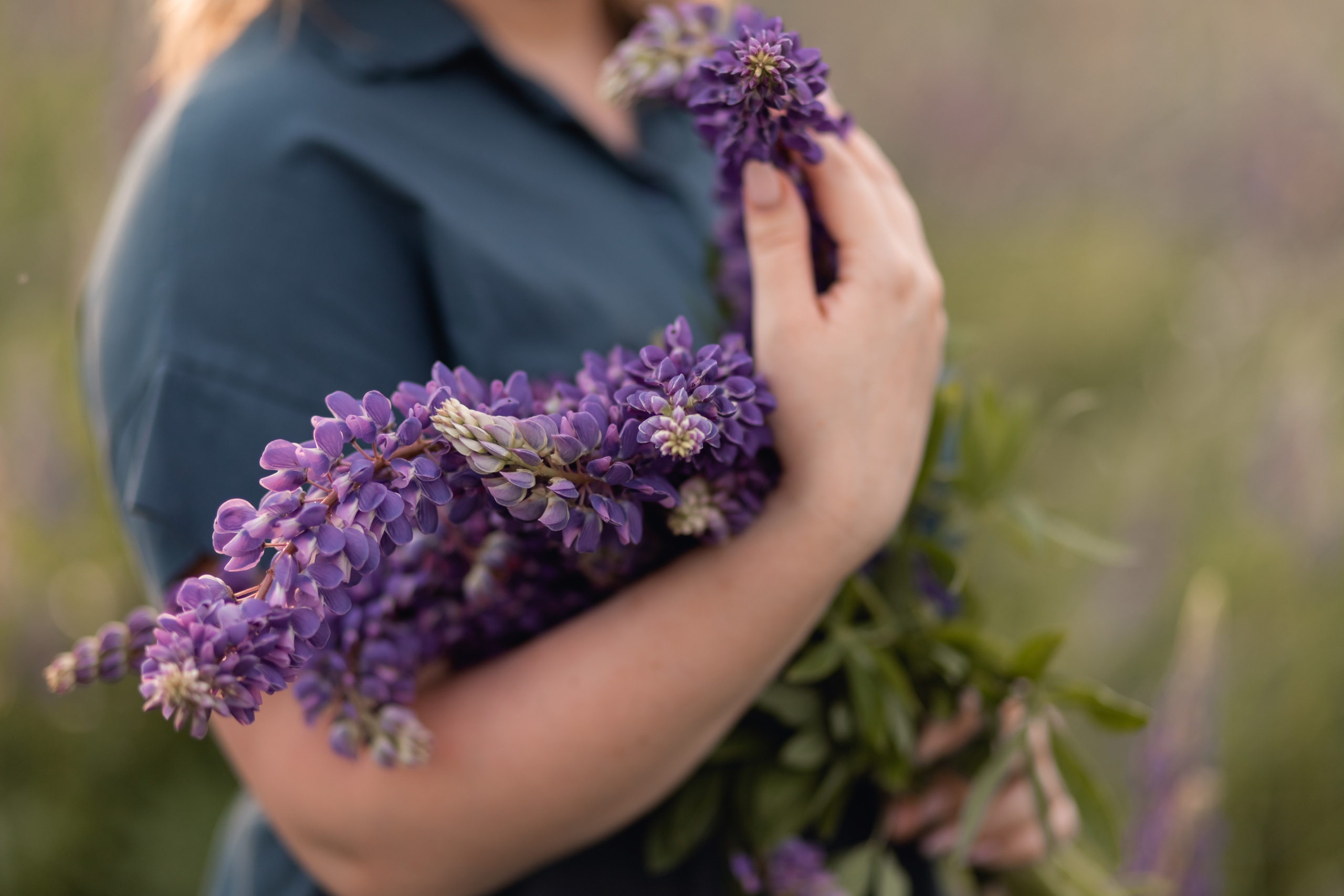 Люпины. Катерина Растокина фотограф в Санкт-Петербурге