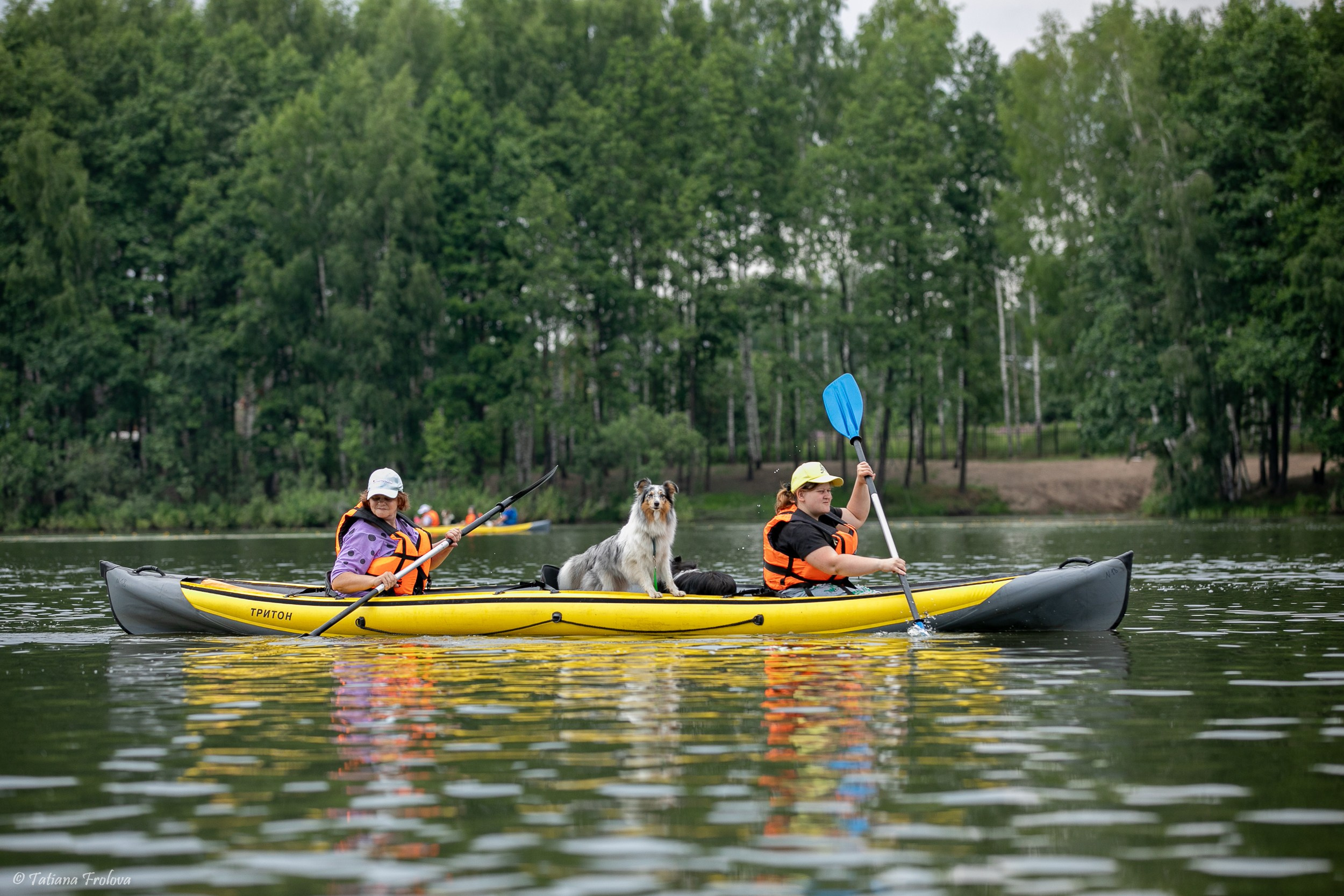 Фотоочет о сплаве на байдарках вместе с собаками. Фотограф-анималист в Москве и Московской области Татьяна Фролова