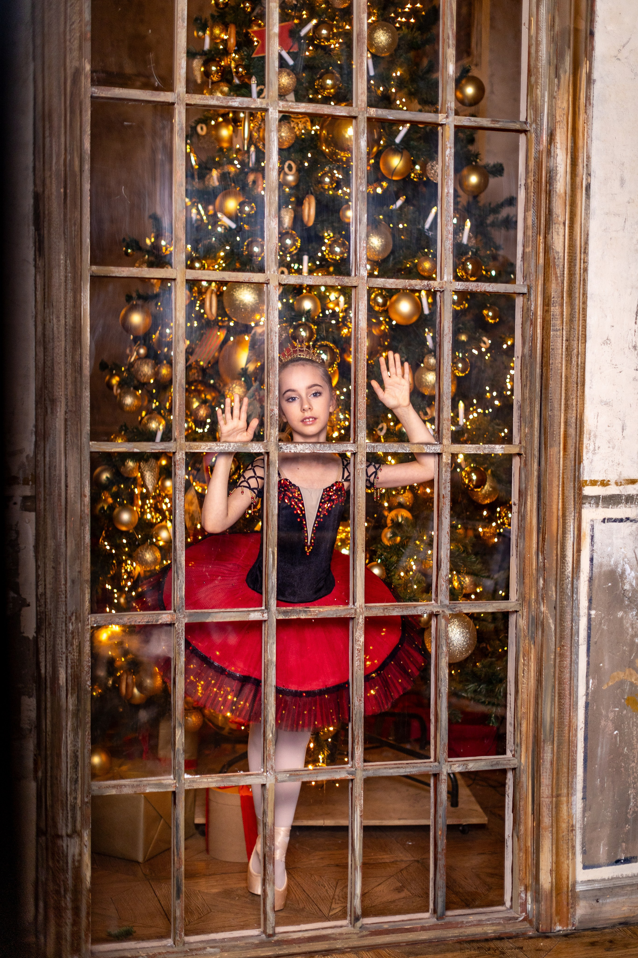 «Щелкунчик» София и Денис. Фото и видео Москва, Московский. Свадебный фотограф, видеограф, фотосессии, видеосъемка