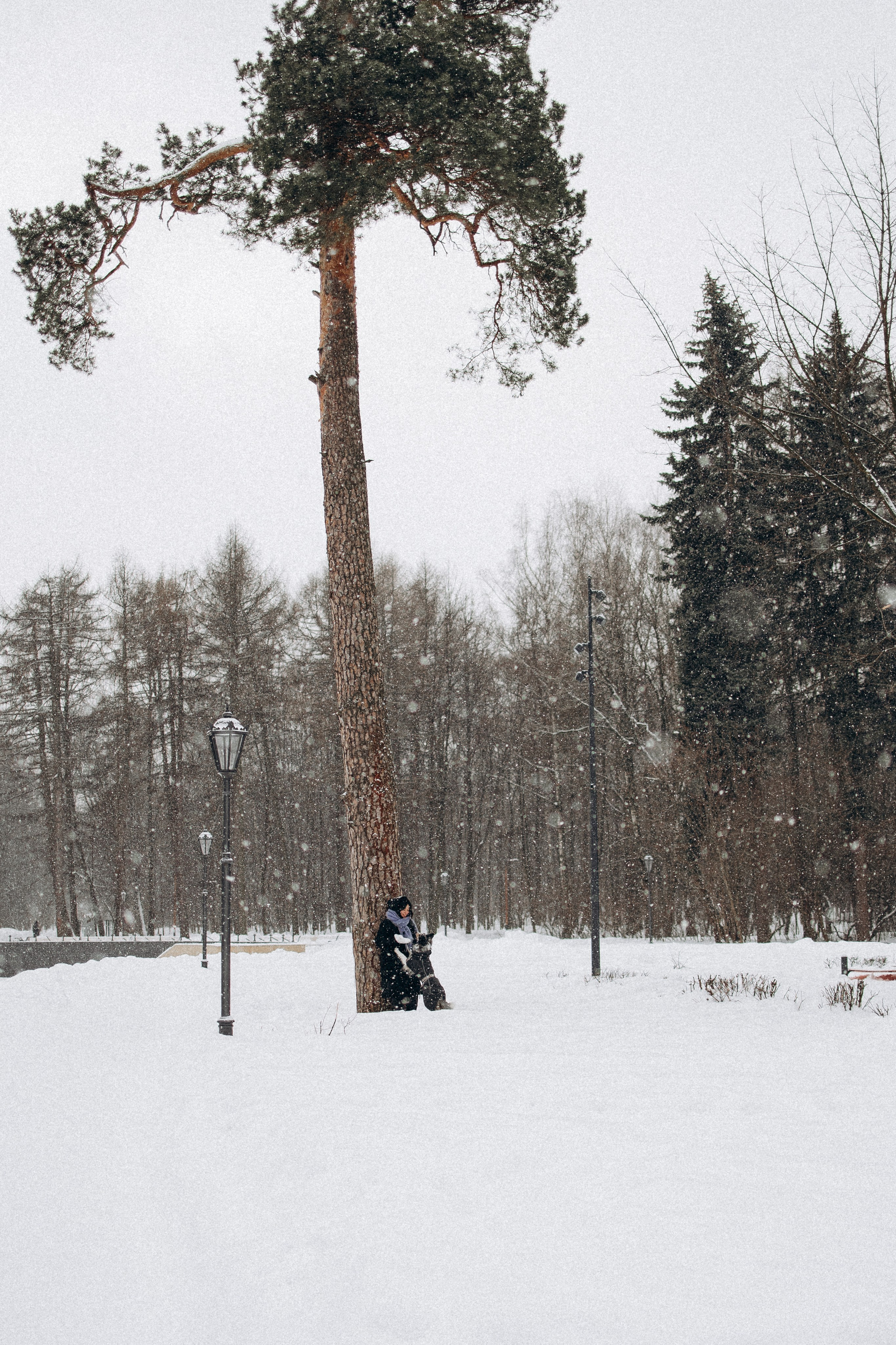 Настя и Тор. Фотораф — анималист Мария Шистка