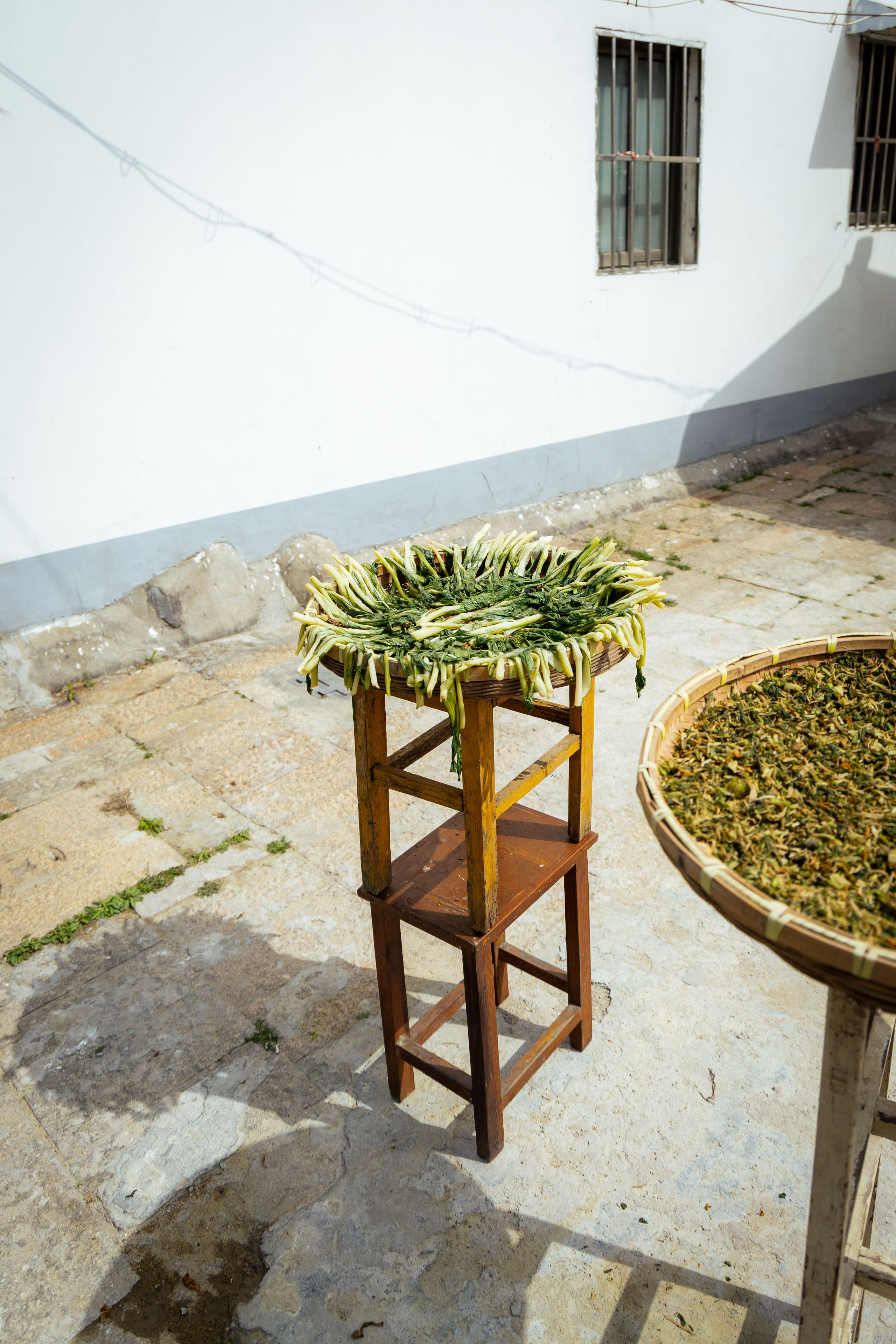 Шанхай (март 2026). Фотограф Виноградов Константин