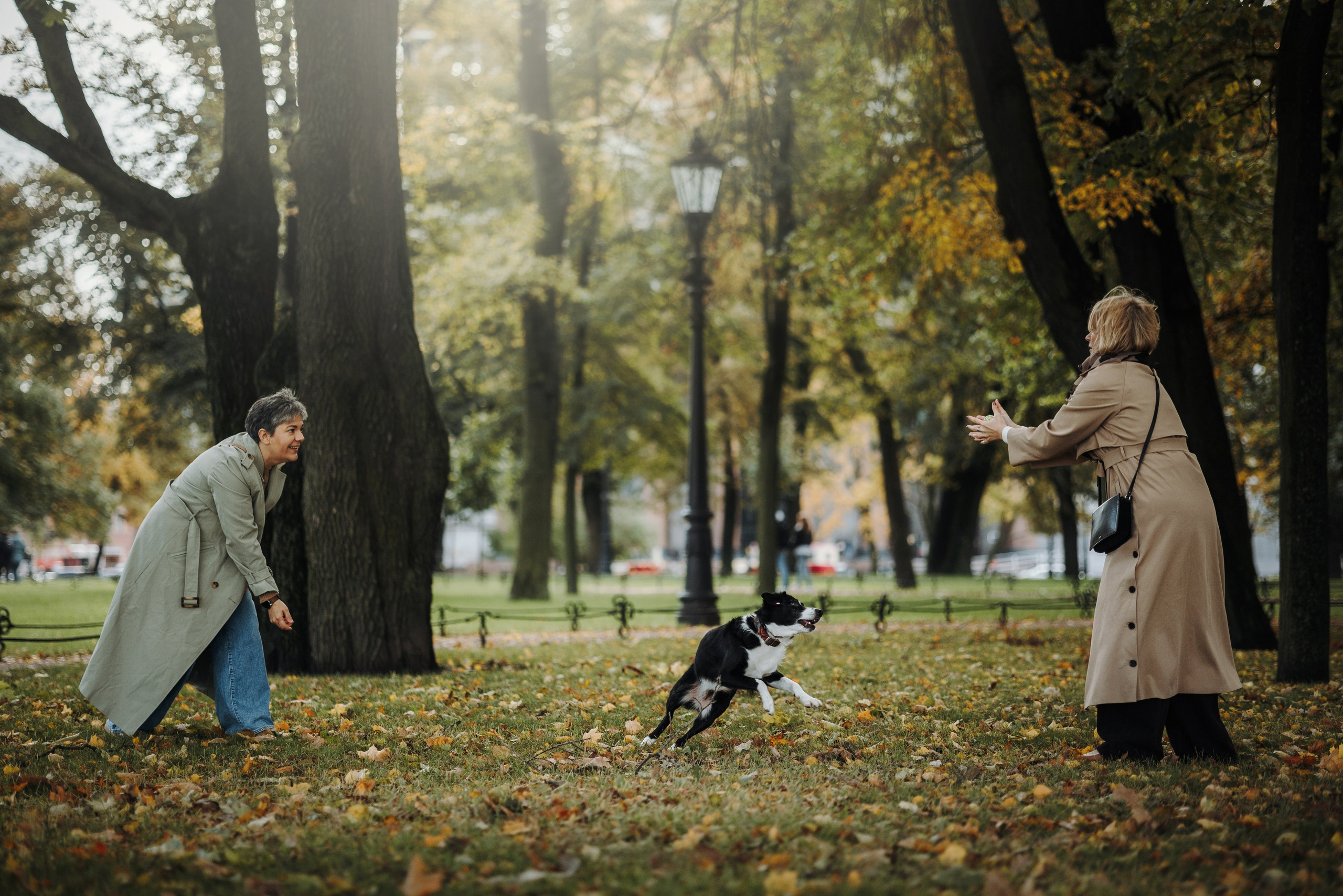 Мишель и ее семья. Фотограф — Анималист | Санкт-Петербург
