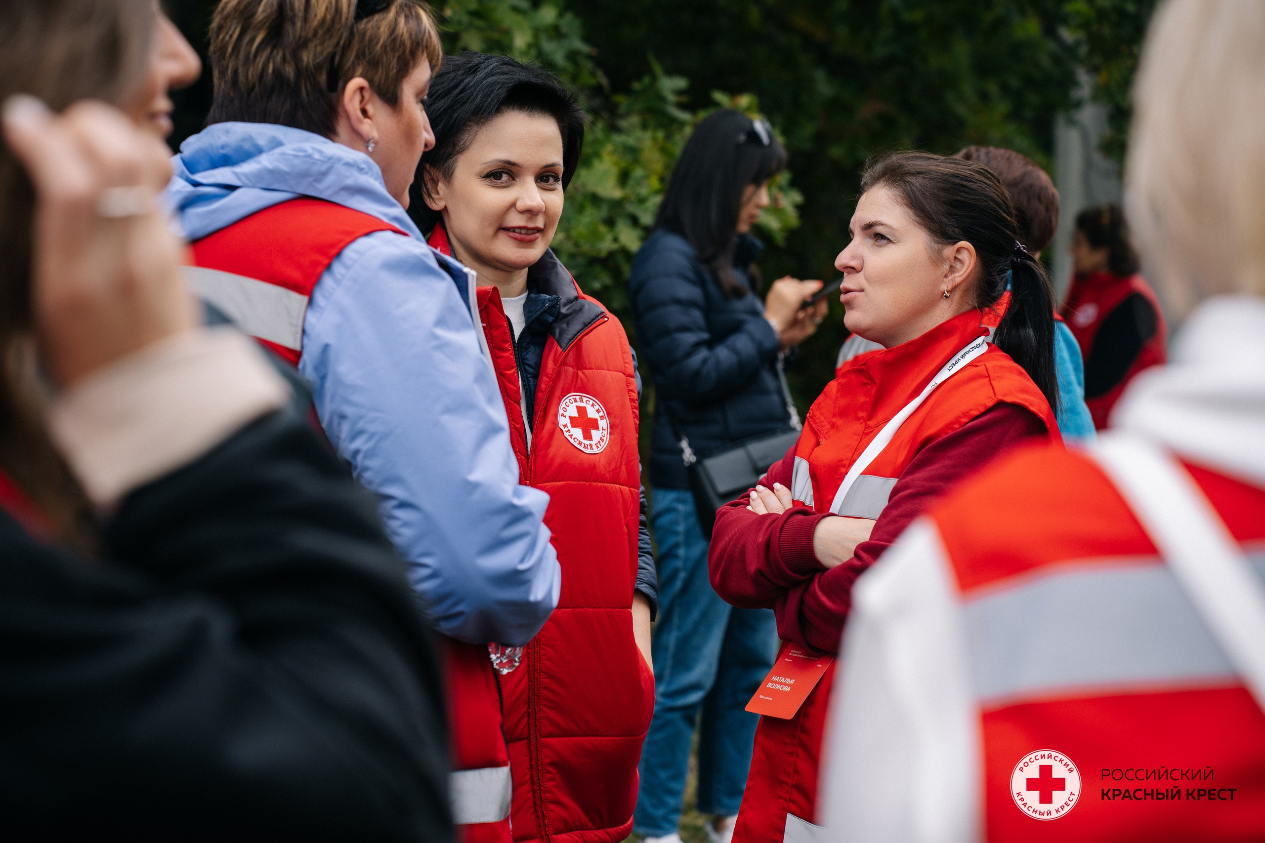 Красный крест | Дегас, медвежья берлога. Фотограф в Воронеже Ольга Космодемьянская