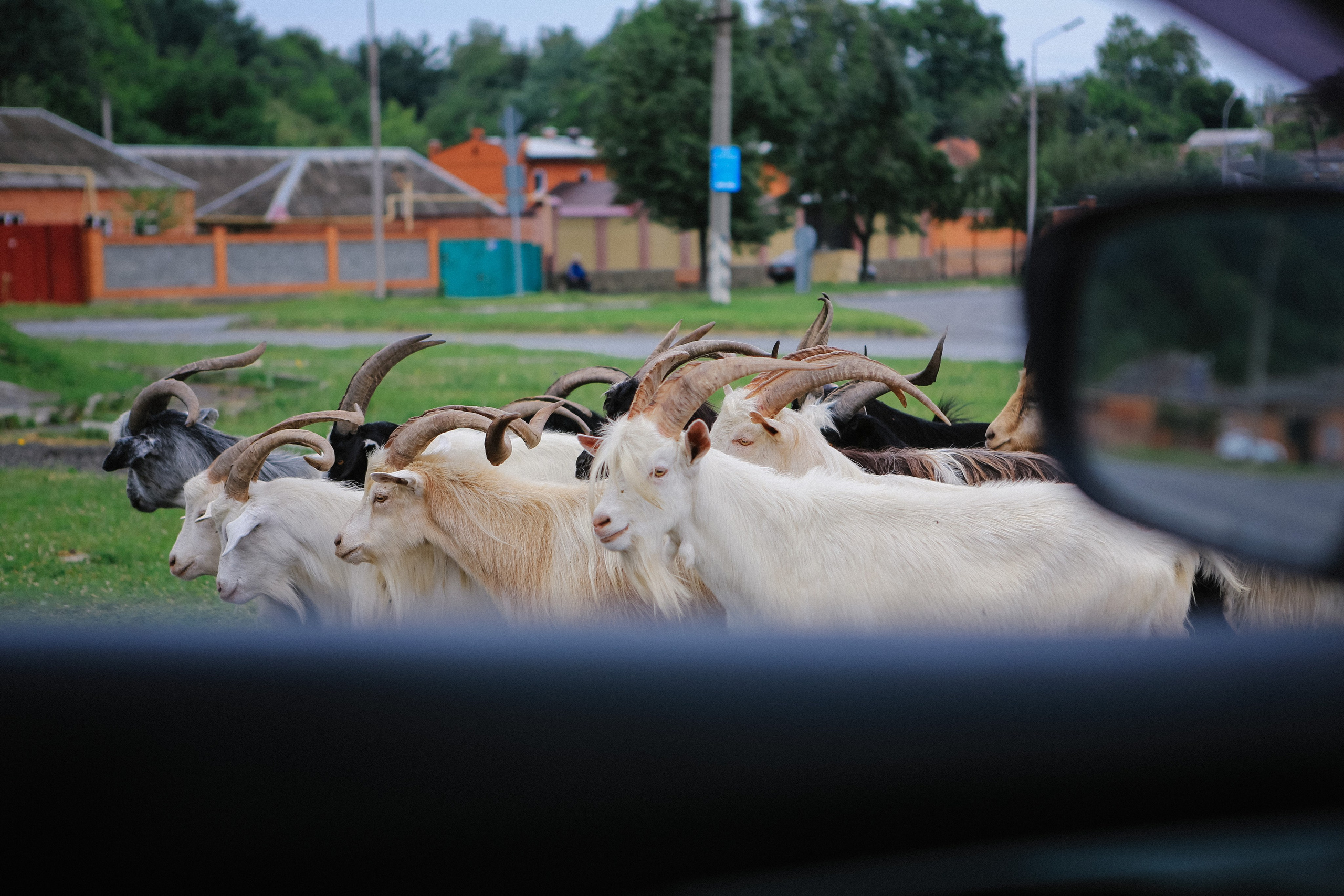 Пресс-тур для Неизвестного Кавказа. Свадебный и портретный фотограф в Пятигорске, КМВ — Власова Юля