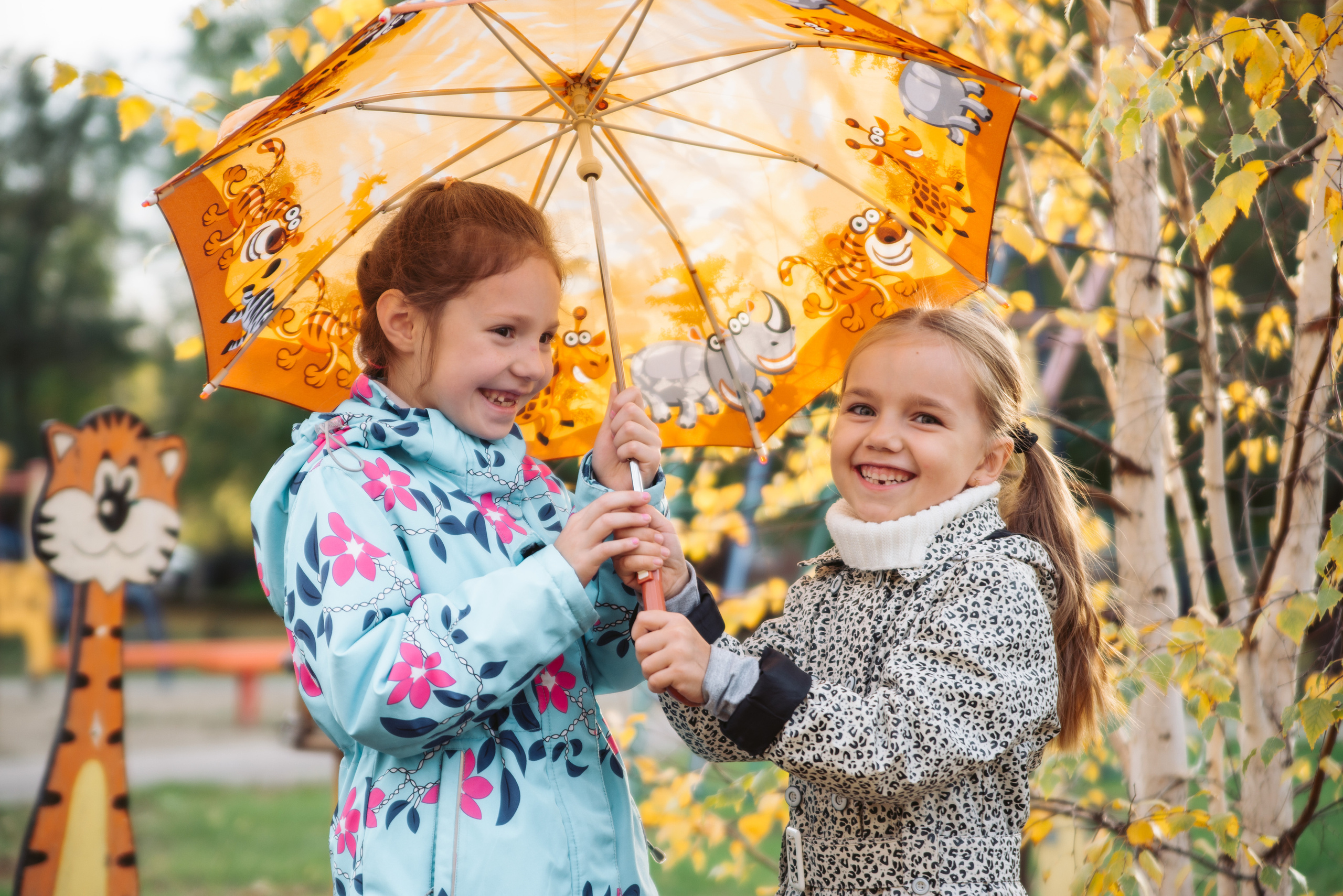 Детский сад. Фокус студия. Выпускные альбомы в Красноярске