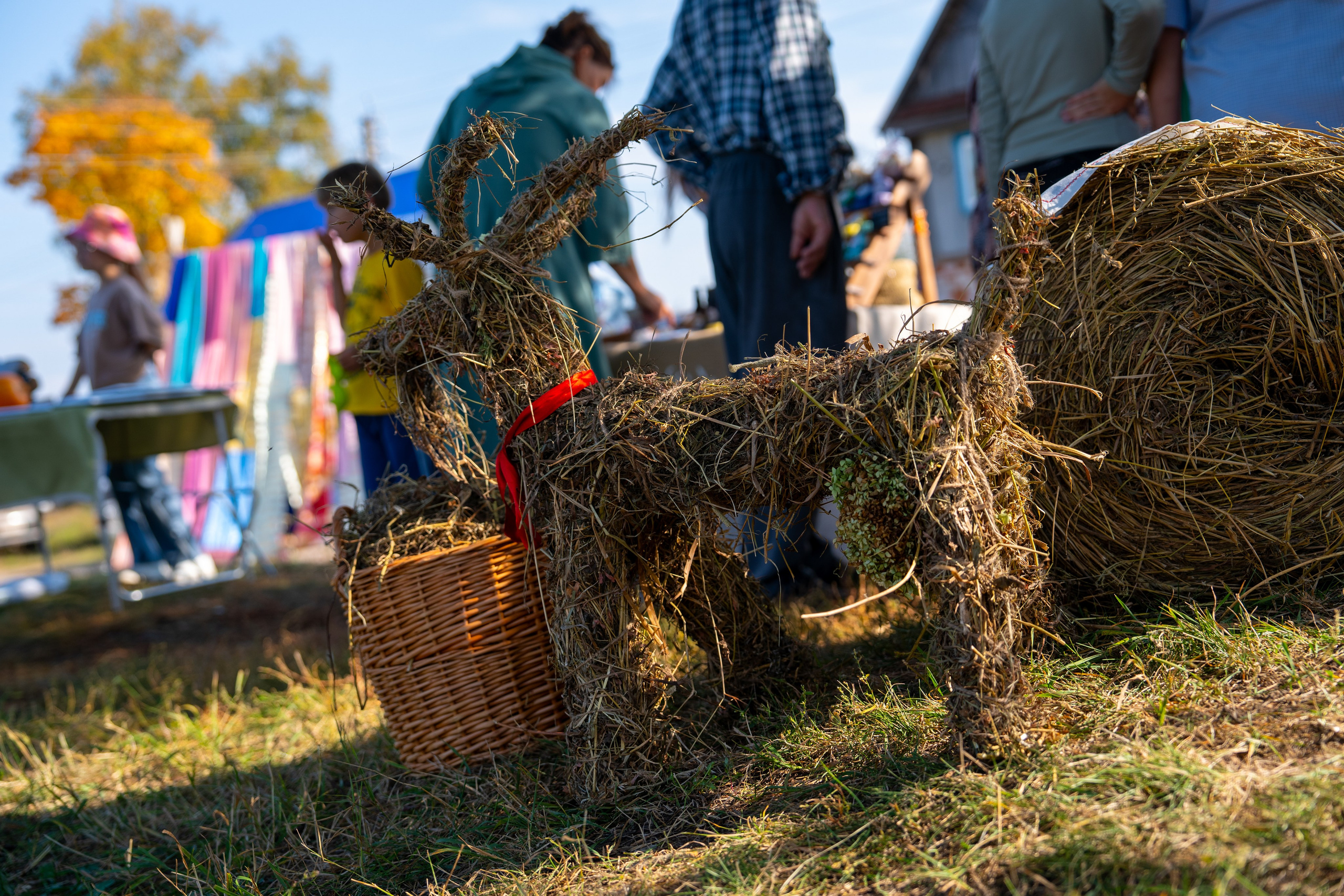 Ярмарка. Фотограф Наталья Сорока Ижевск