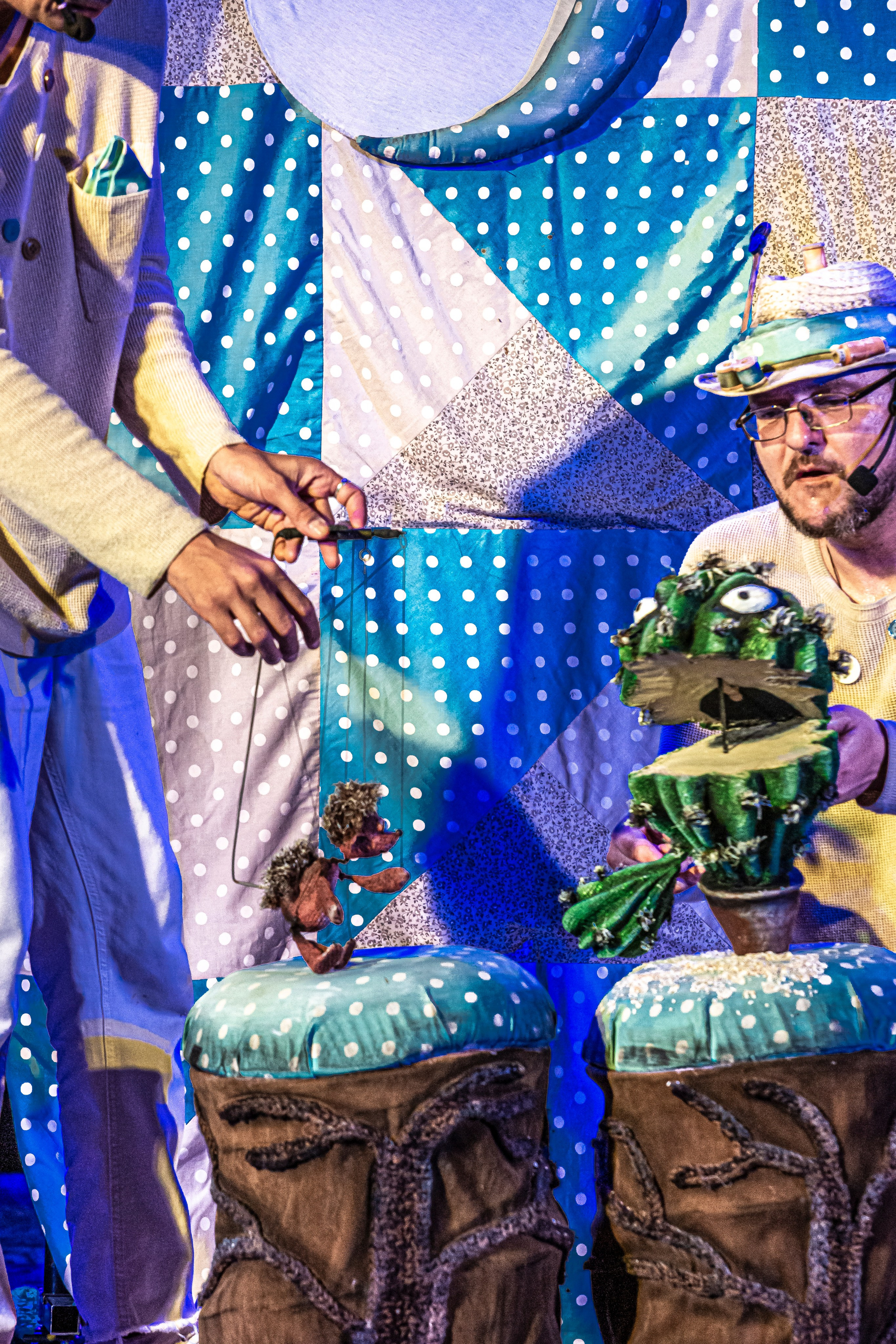 Колючая сказка. Фотограф в Сочи Юрий Шептаев