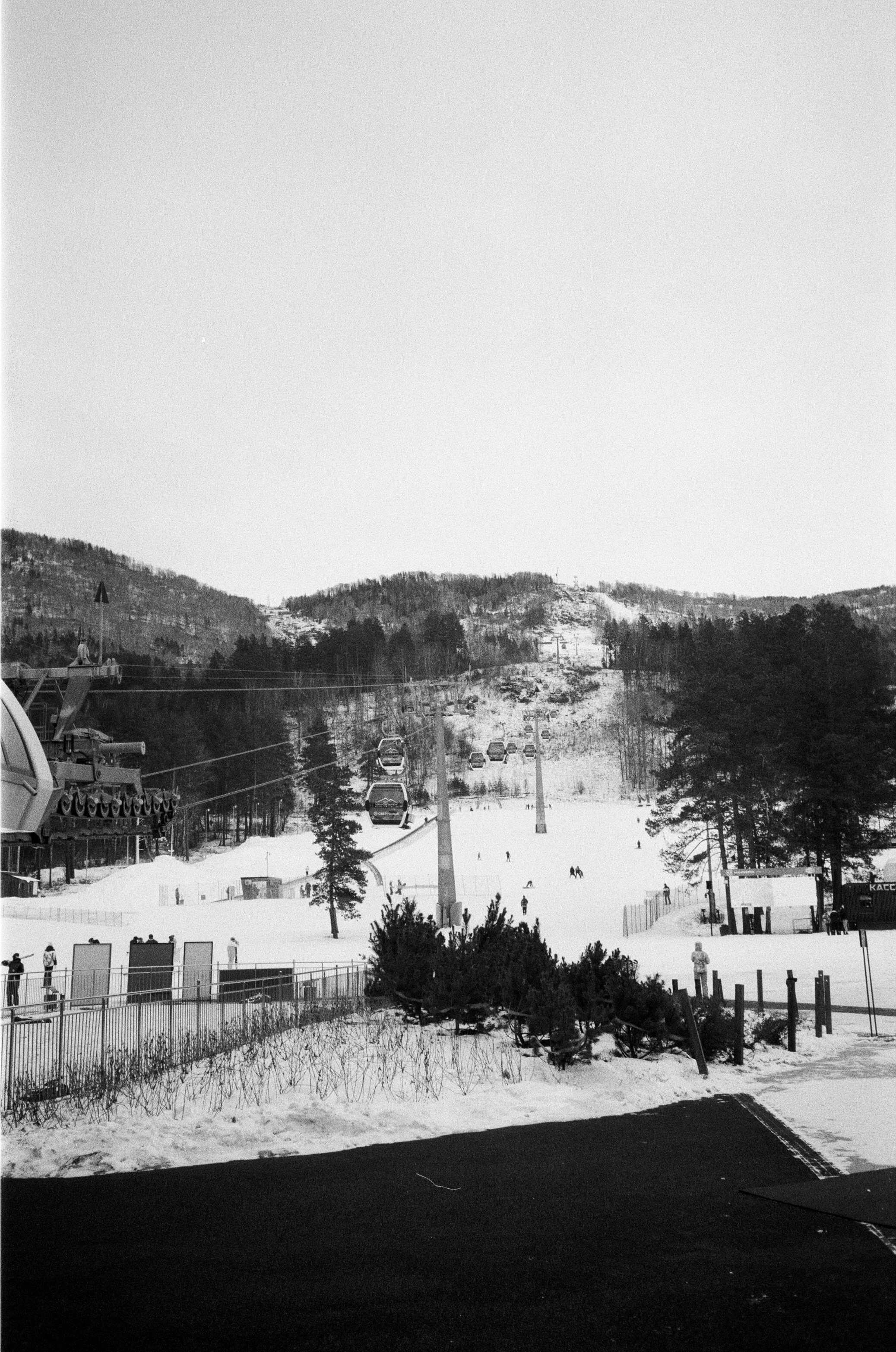 Olympus AF-10 SUPER / Ilford PAN 400 / Алтай, зима 2023 год