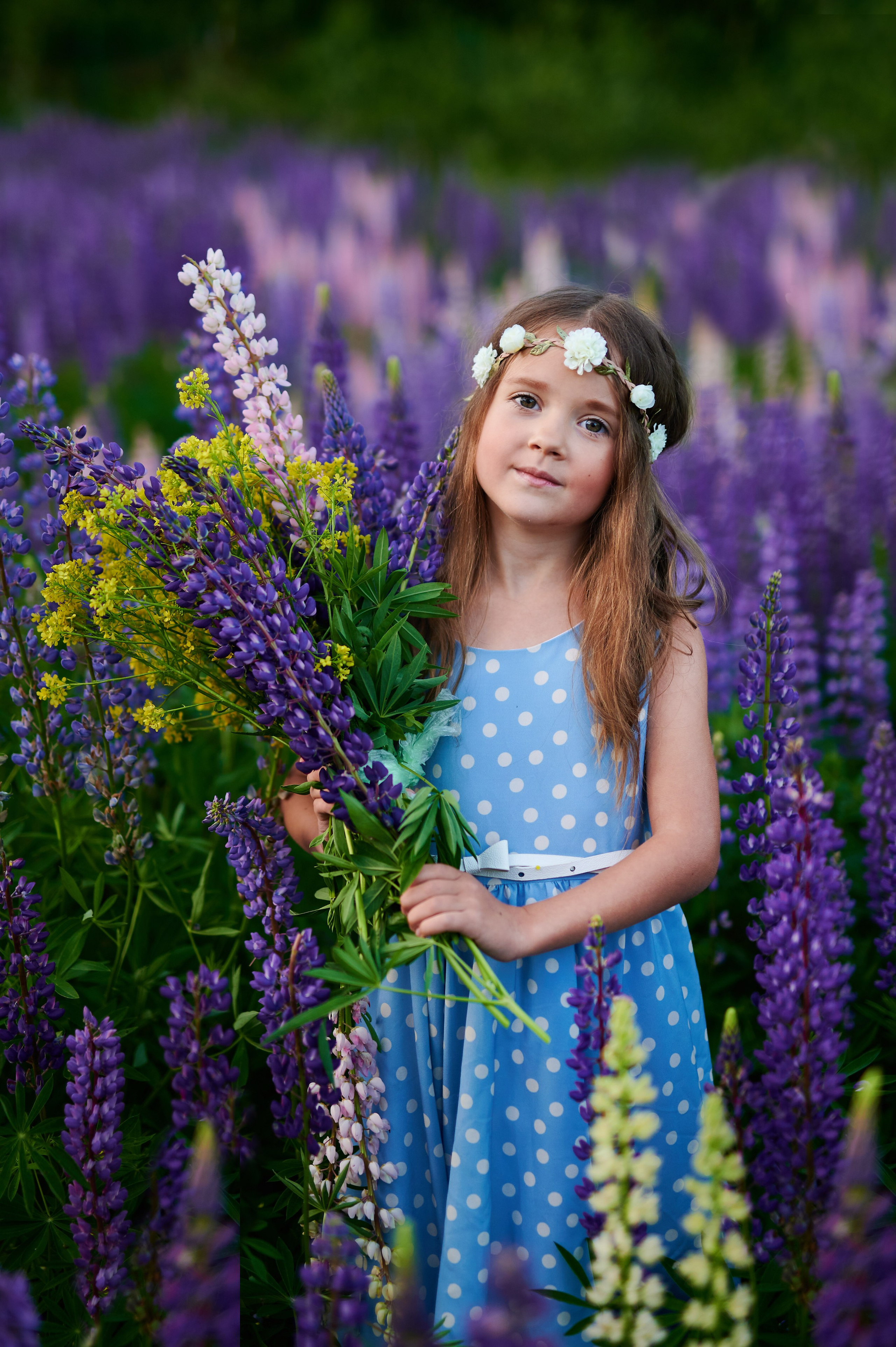Счастье в люпинах. Портретный, семейный и свадебный фотограф в Санкт-Петербурге и в Пушкине Ширяев Денис