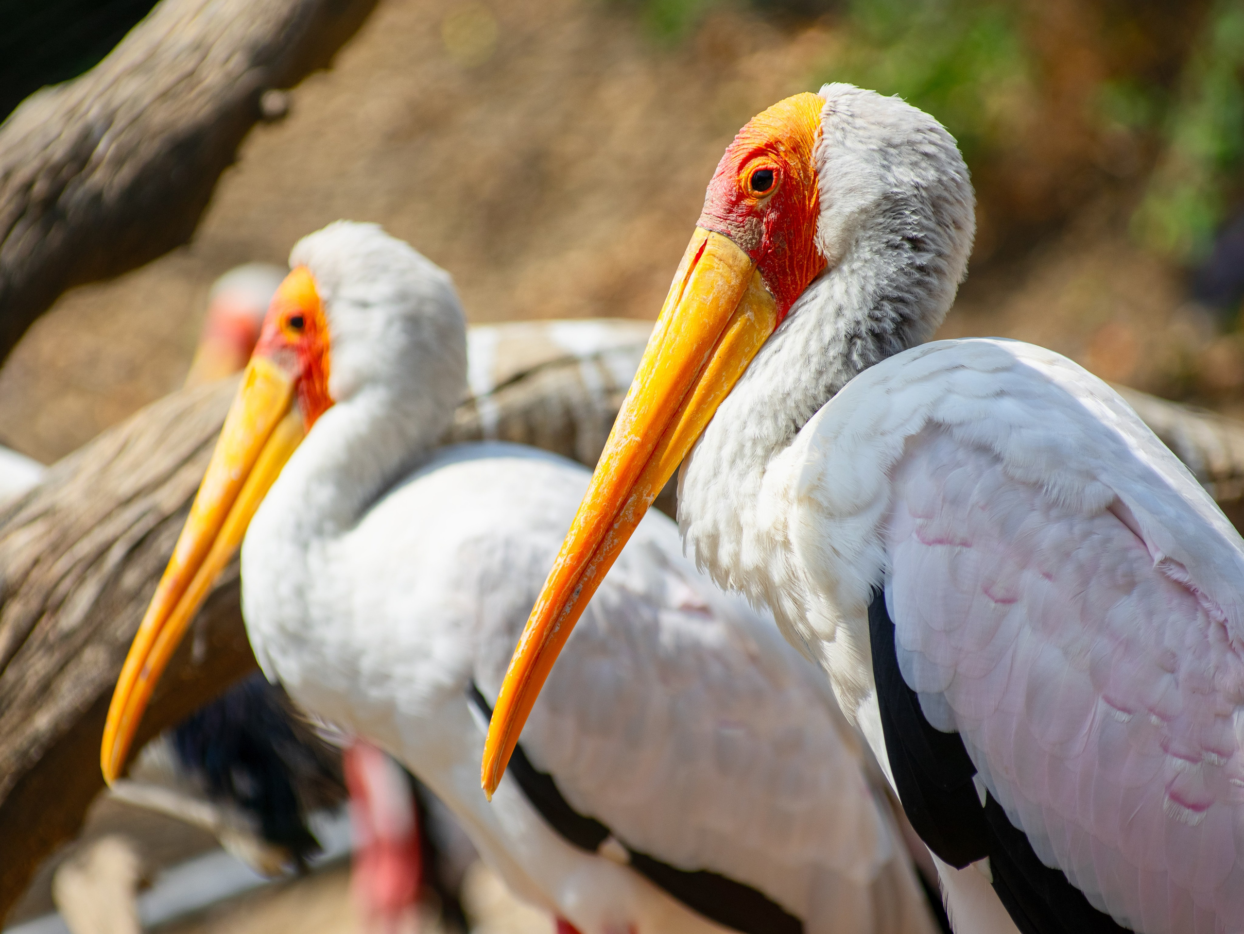 Истории. Фотограф Сергей Мосевнин
