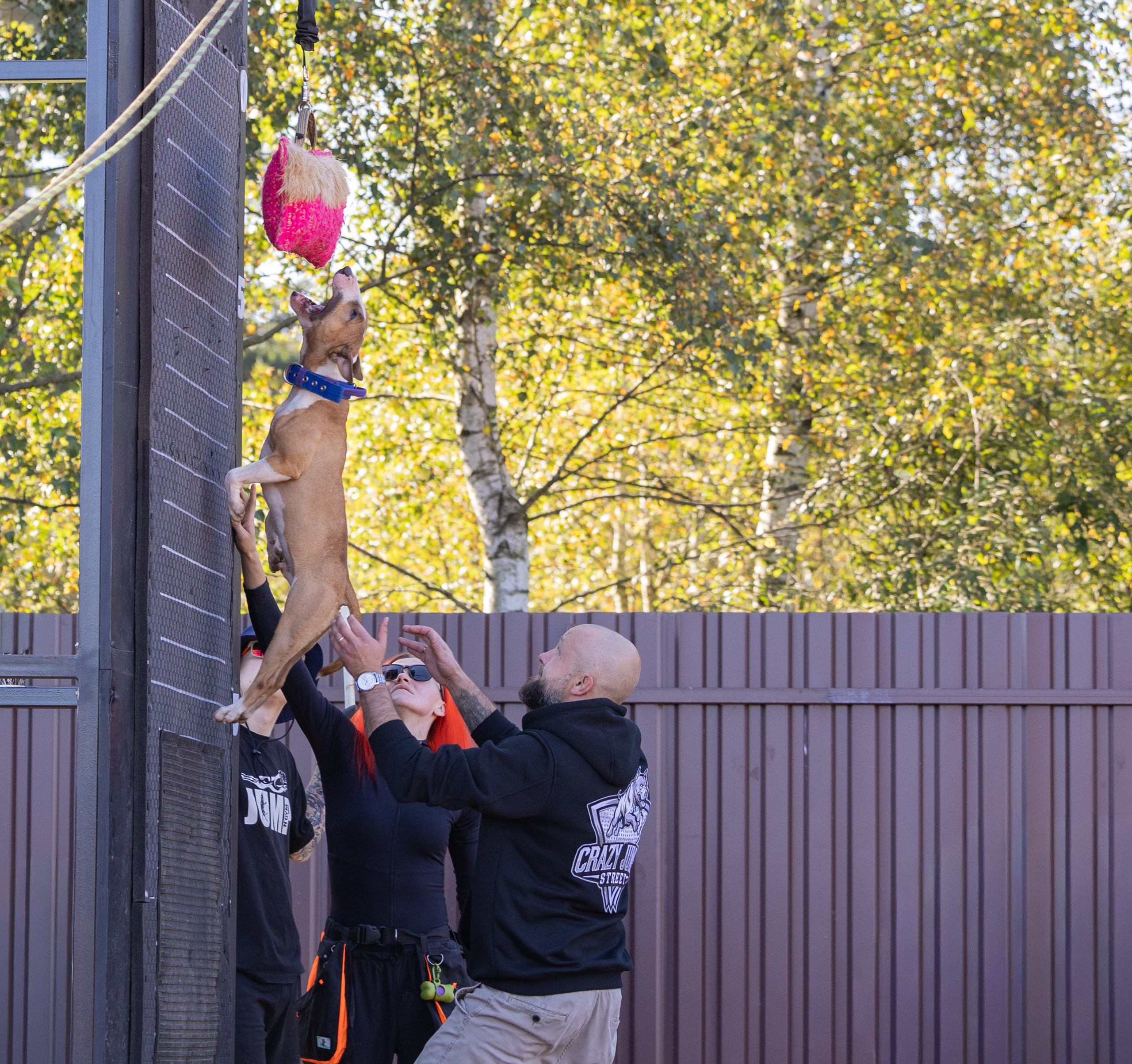 Jump'n'Gym. Виктория Михайловская. Фотограф-анималист. Москва