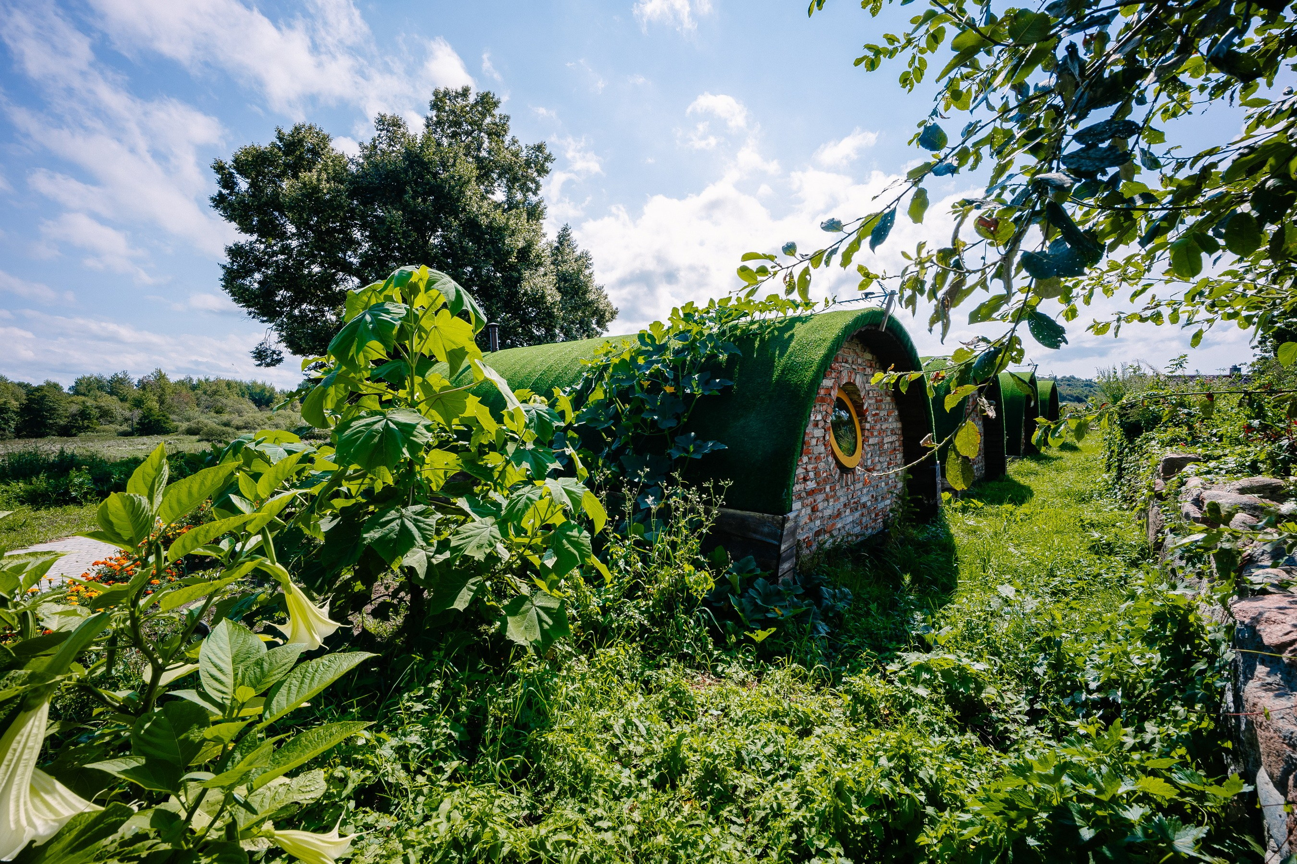 Съёмка объекта недвижимости Хутор Нёттникен. Свадебный, семейный и детский фотограф в Калининграде Елена Кравцова