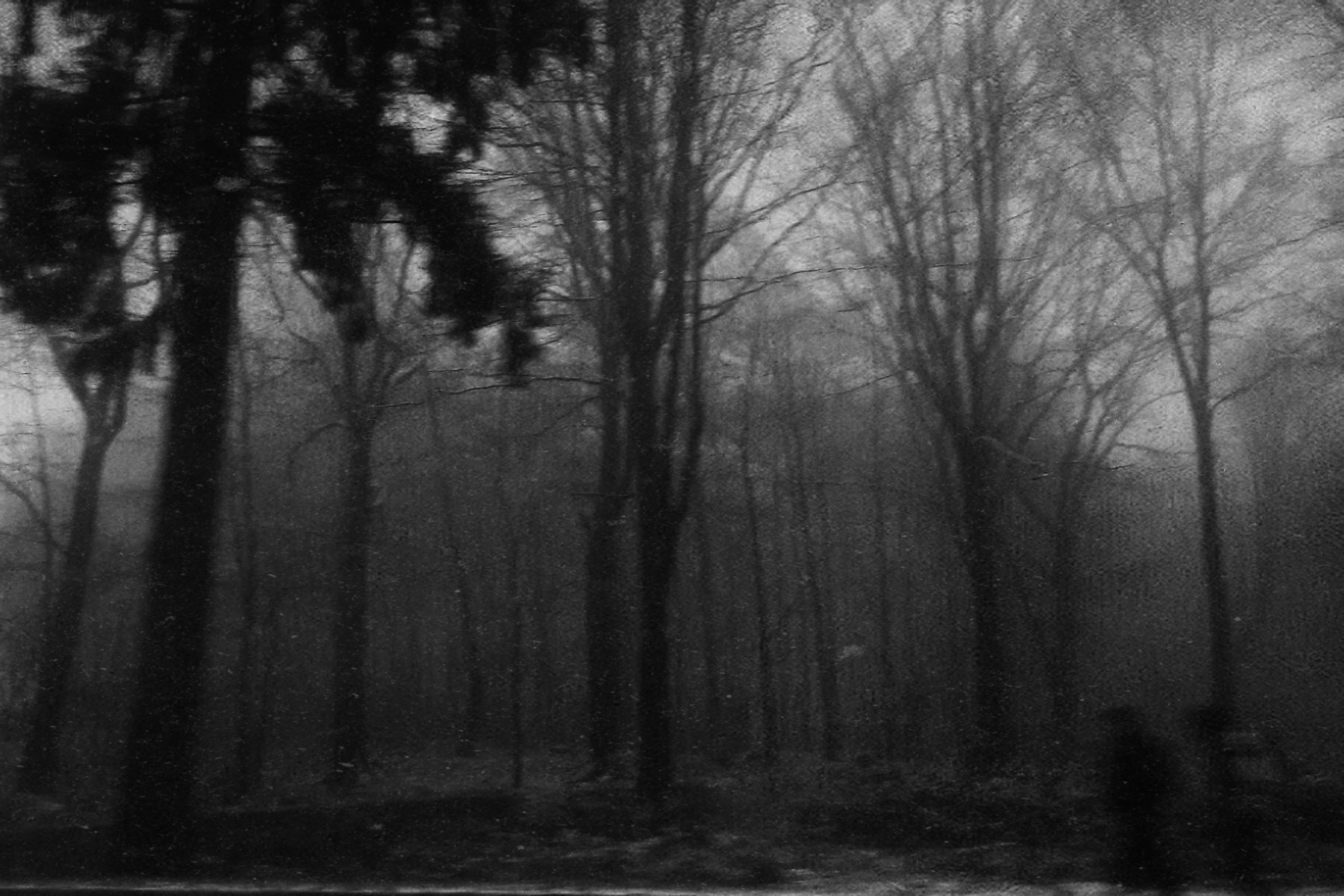 Меланхолия. Главная