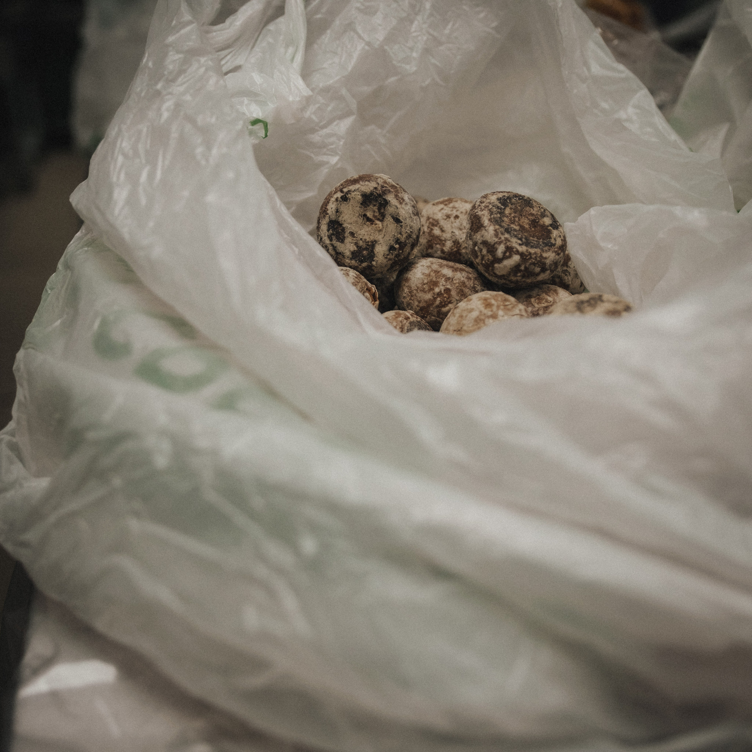 Снова готовка для кормления бездомных. Фотограф в Москве Максим Скоробогатов