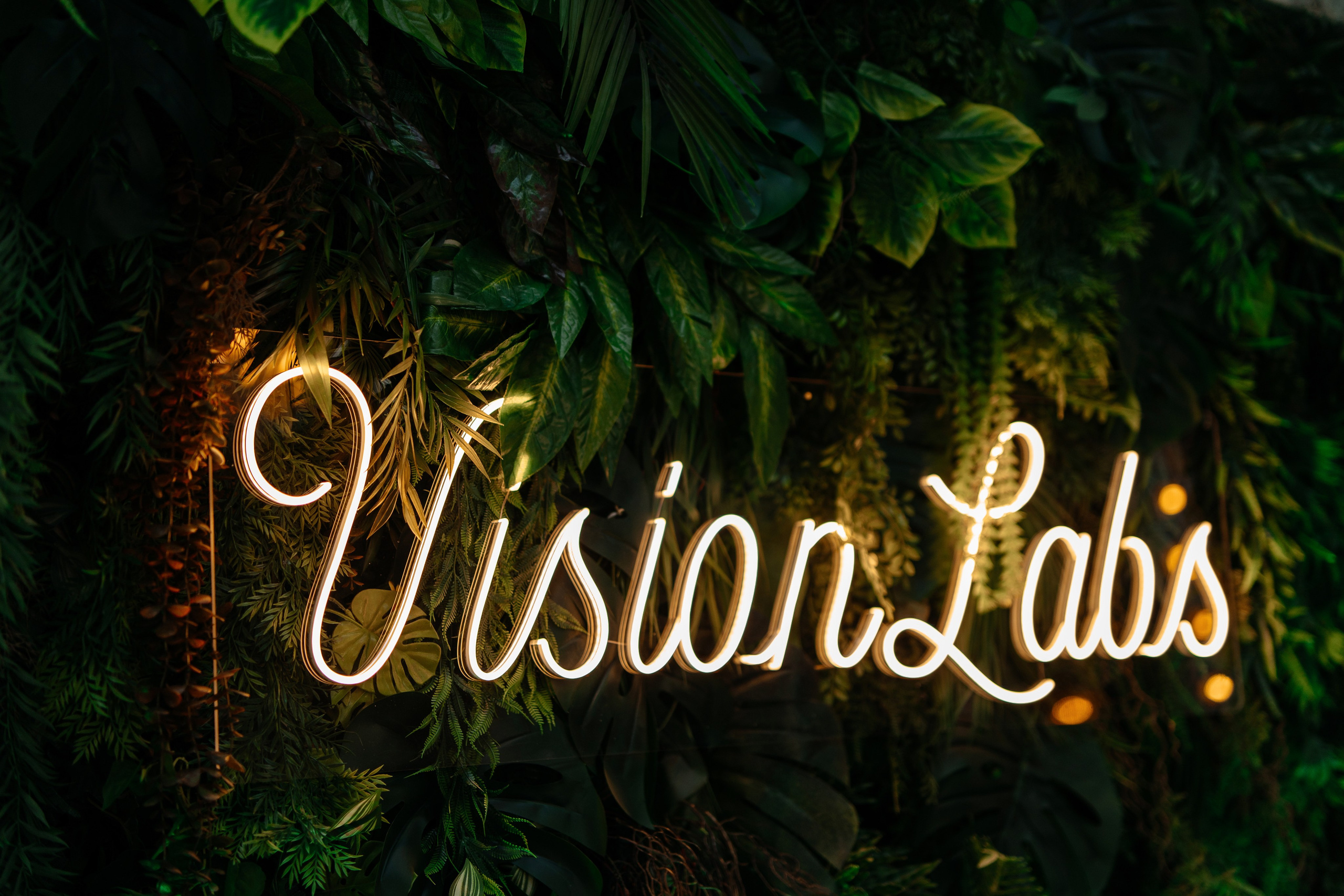 ДР Вижнлабс. Свадебный и репортажный фотограф в Москве Андрей Вайман