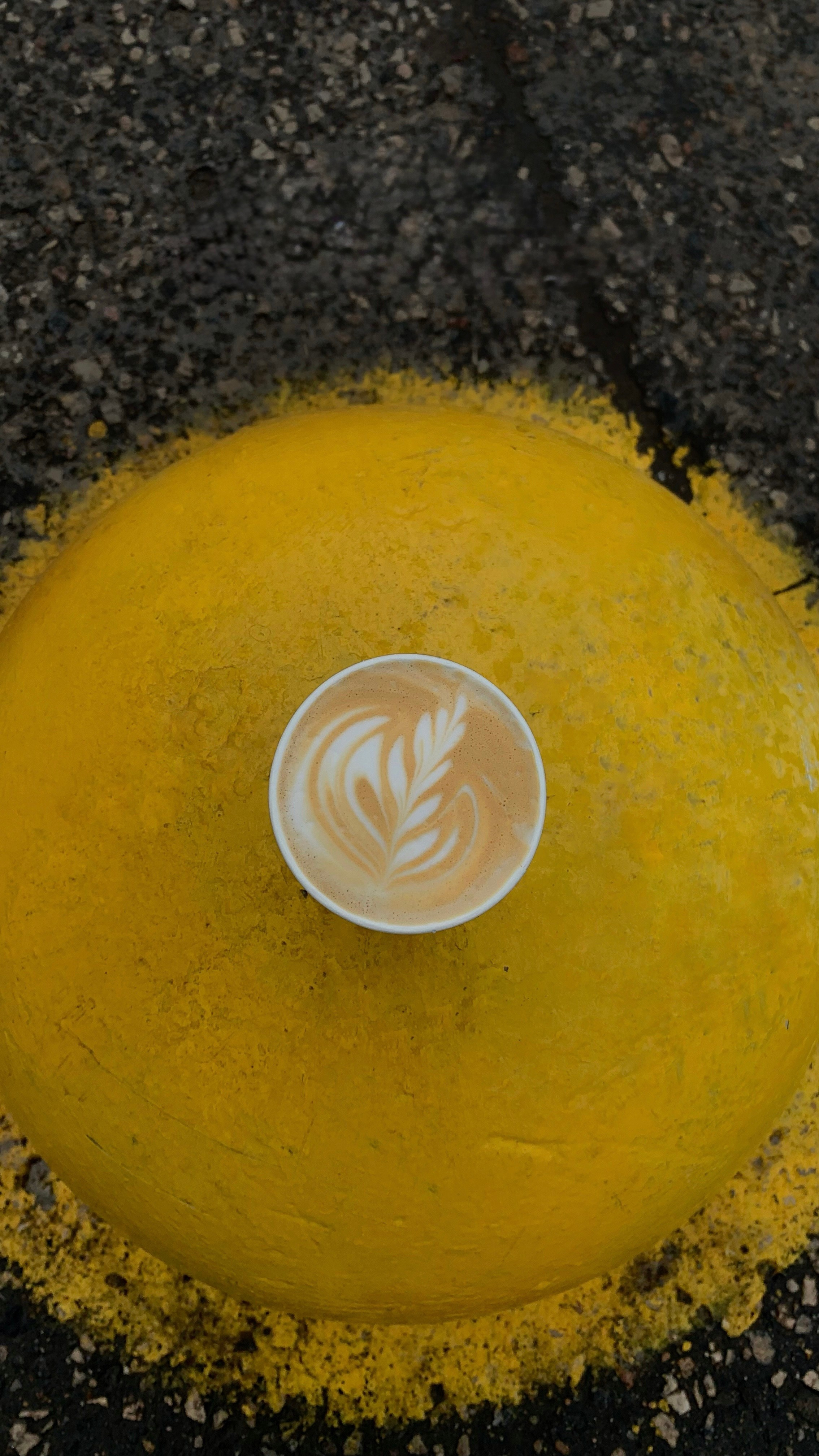 Коммерческие съемки. Фотограф контент-мейкер в Москве