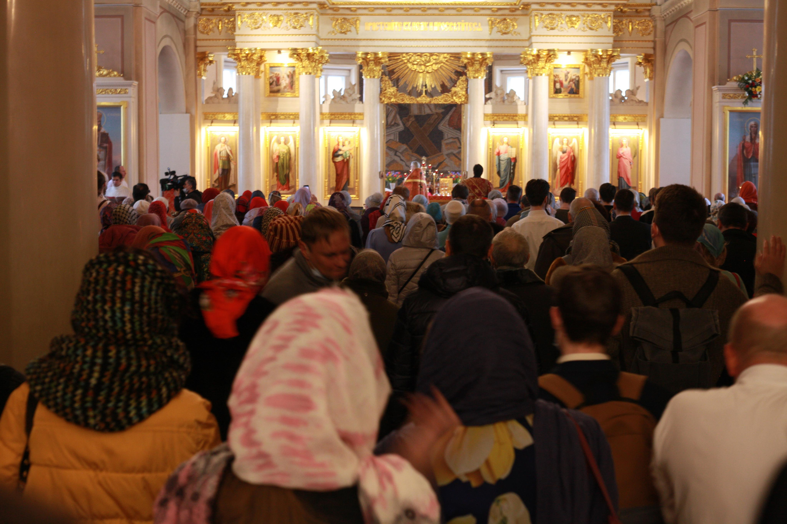 Татьянин день 25.01.2022. Профессиональный фотограф в Москве Алёна Котова