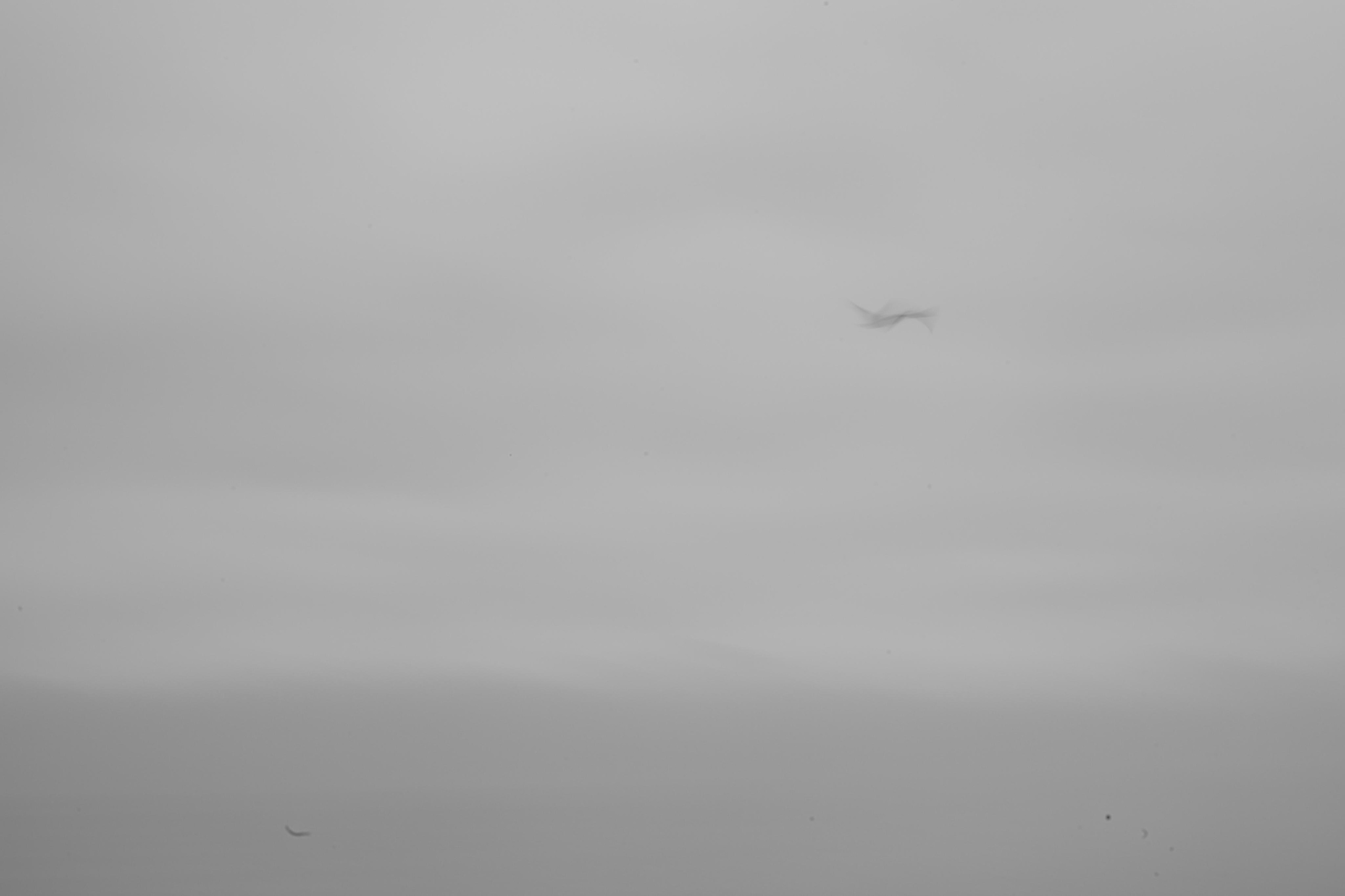 Абстракция. Профессиональный фотограф в Москве Алёна Котова