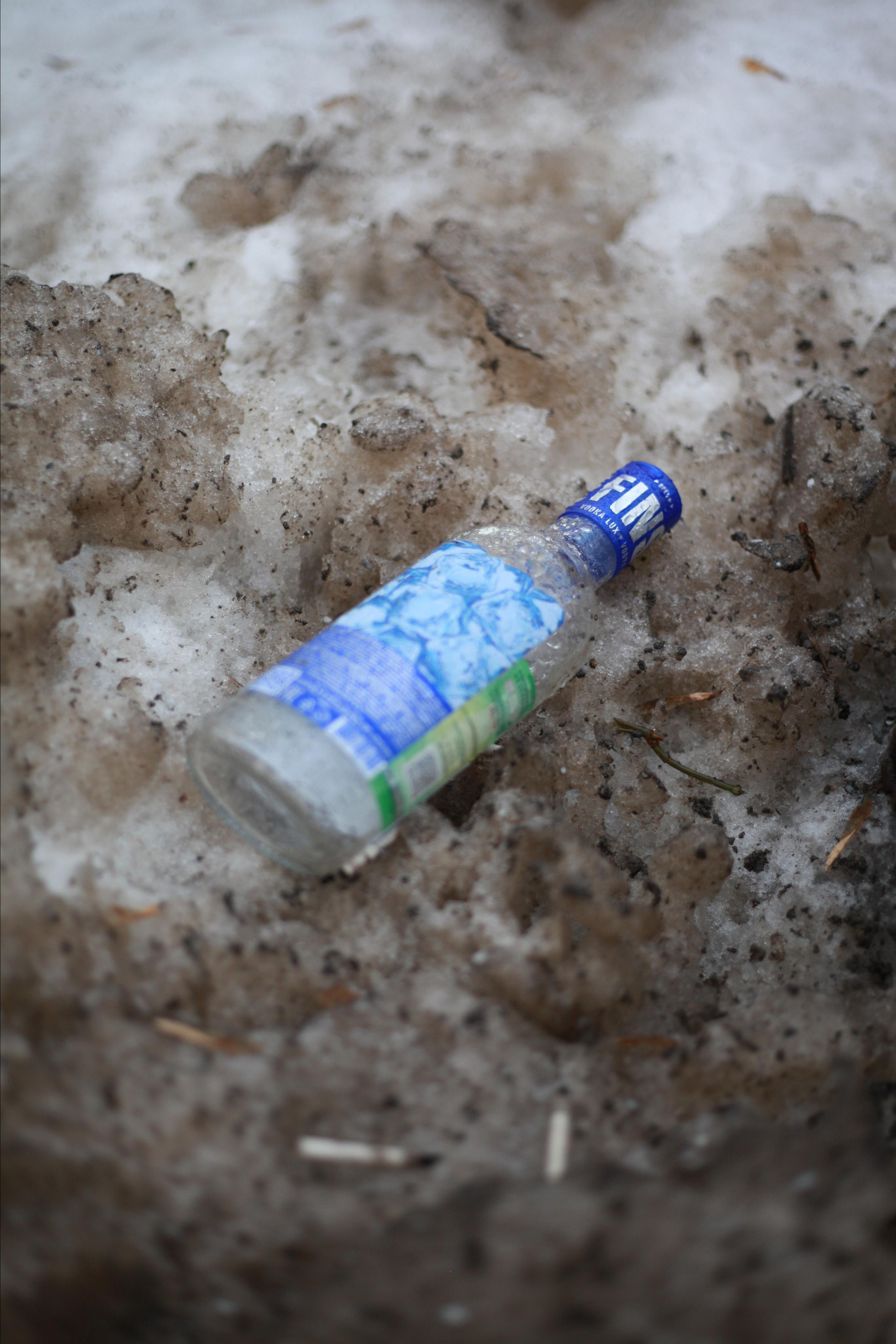 Подснежники. Профессиональный фотограф в Москве Алёна Котова