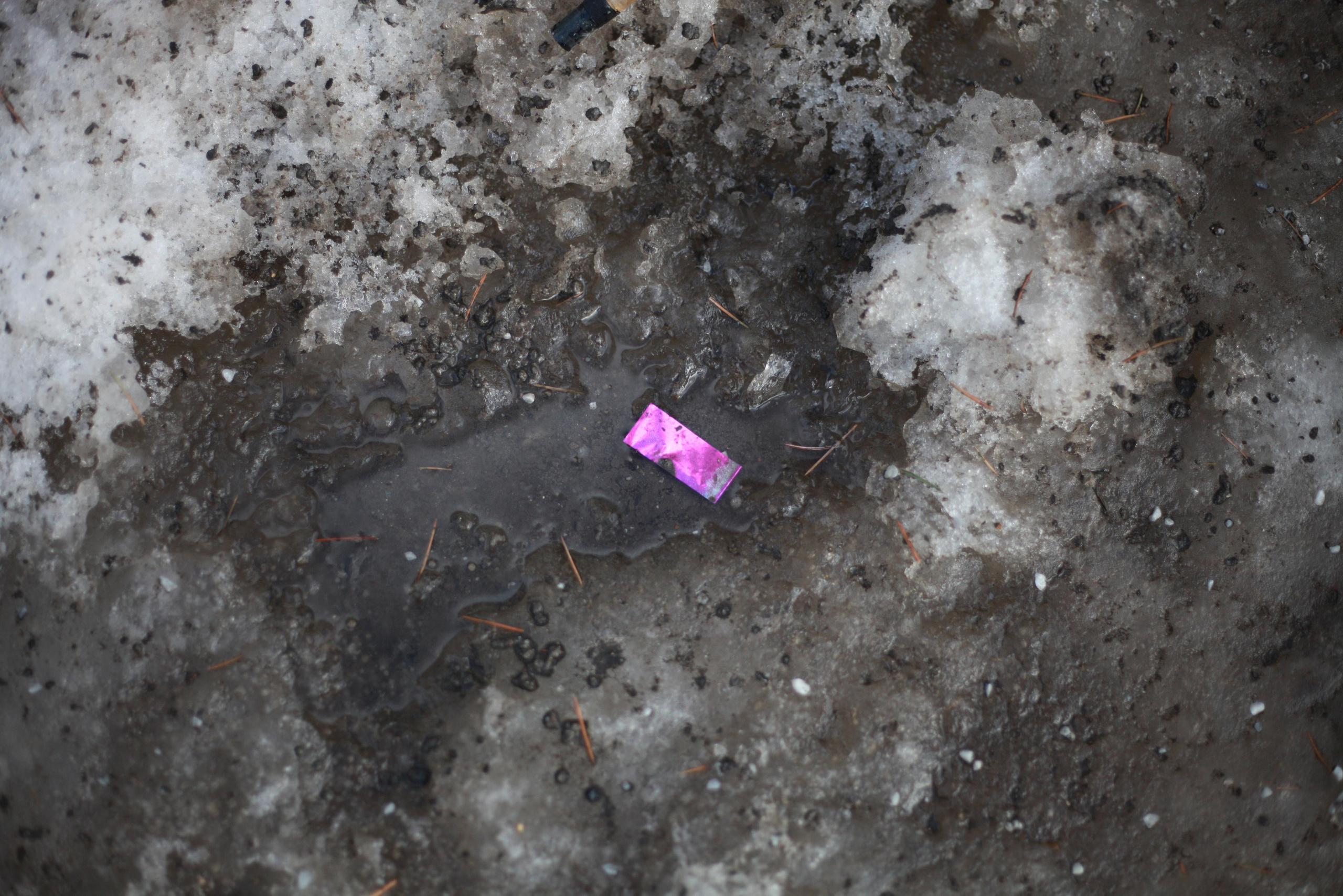 Подснежники. Профессиональный фотограф в Москве Алёна Котова