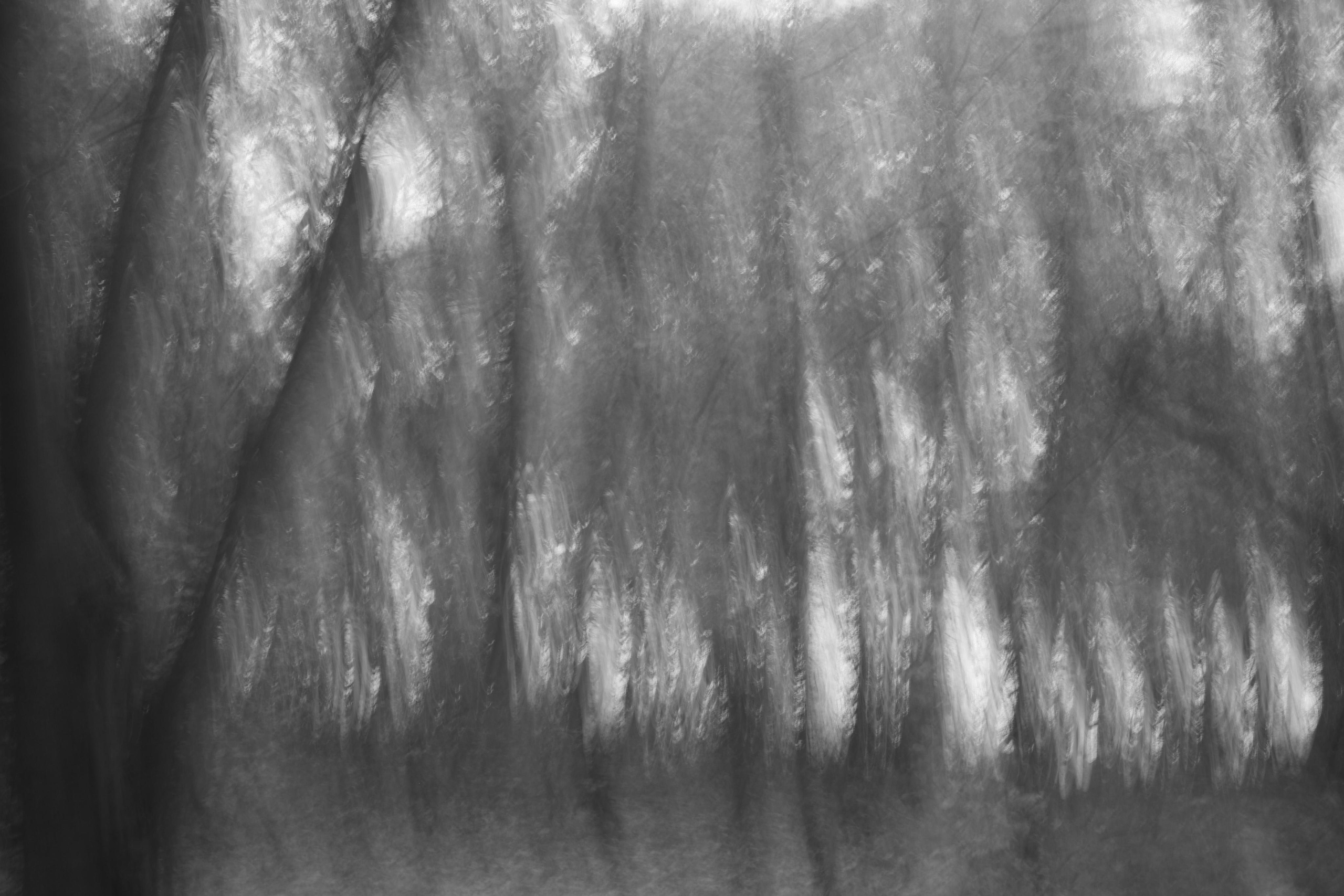 Абстракция. Профессиональный фотограф в Москве Алёна Котова