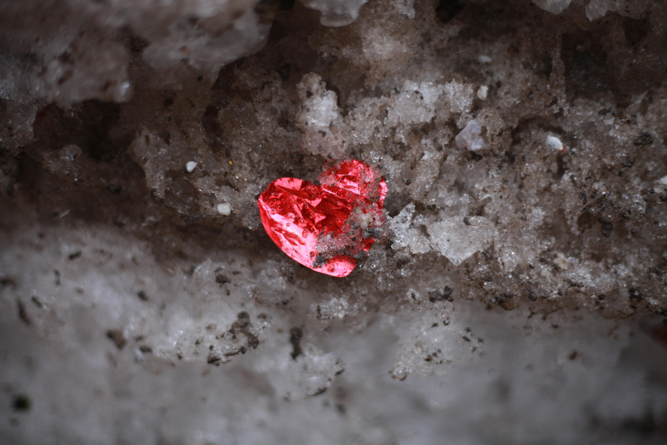 Подснежники. Профессиональный фотограф в Москве Алёна Котова