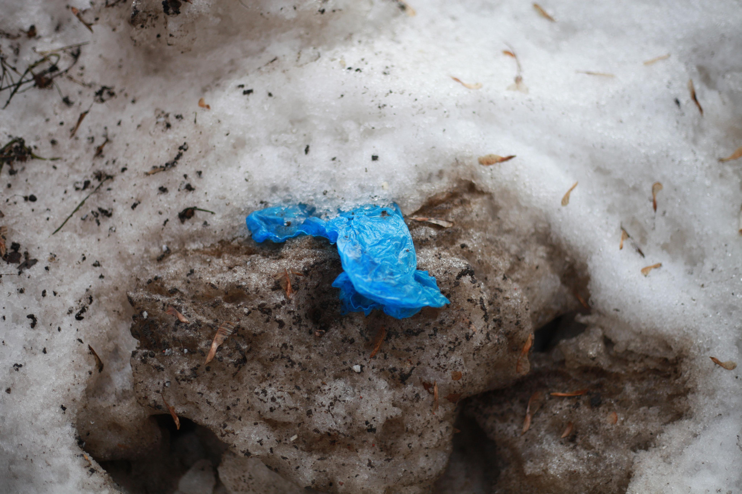 Подснежники. Профессиональный фотограф в Москве Алёна Котова