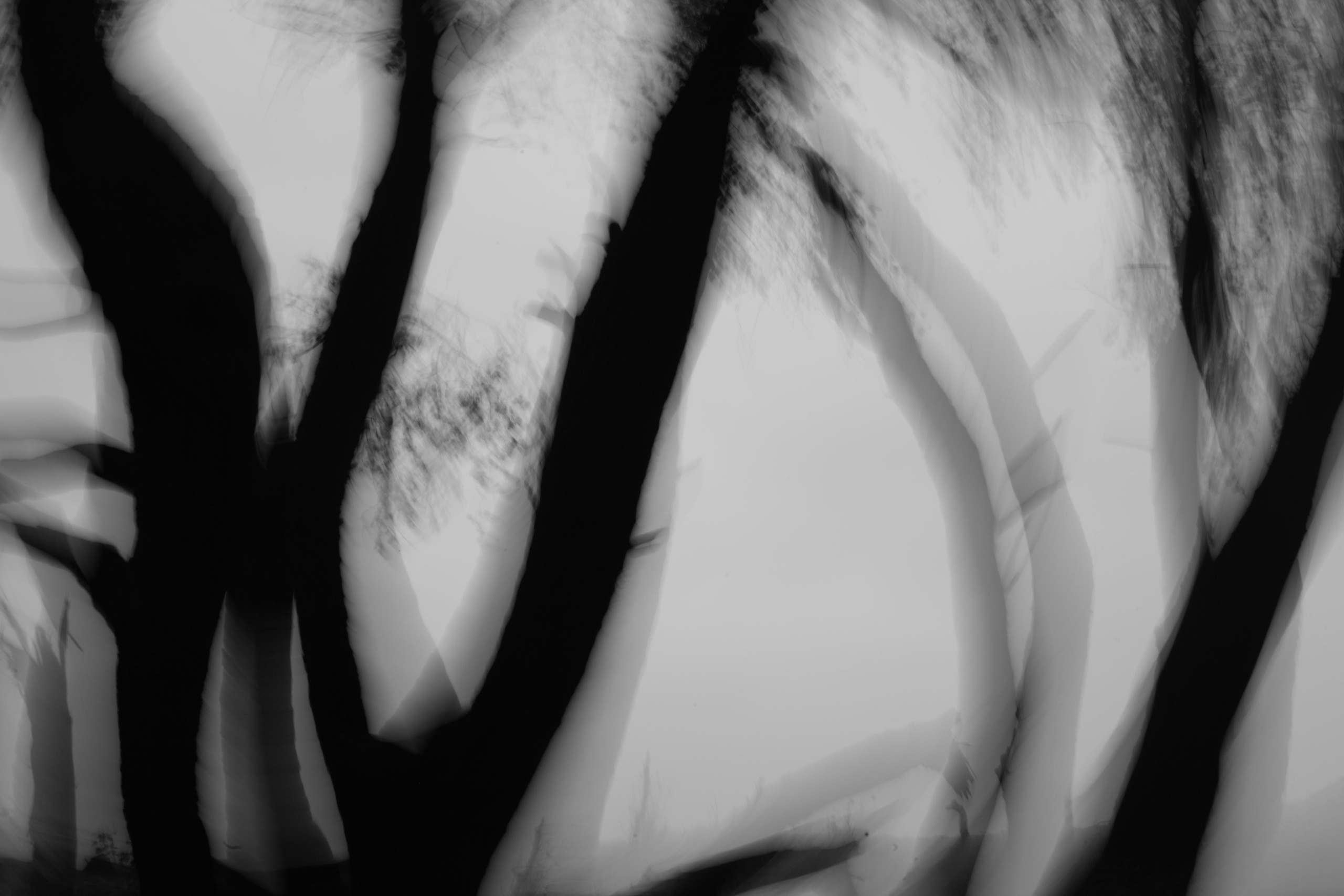 Абстракция. Профессиональный фотограф в Москве Алёна Котова