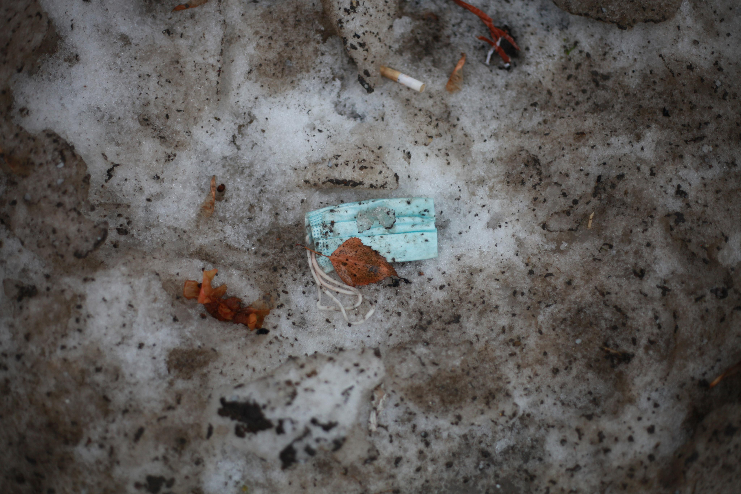 Подснежники. Профессиональный фотограф в Москве Алёна Котова