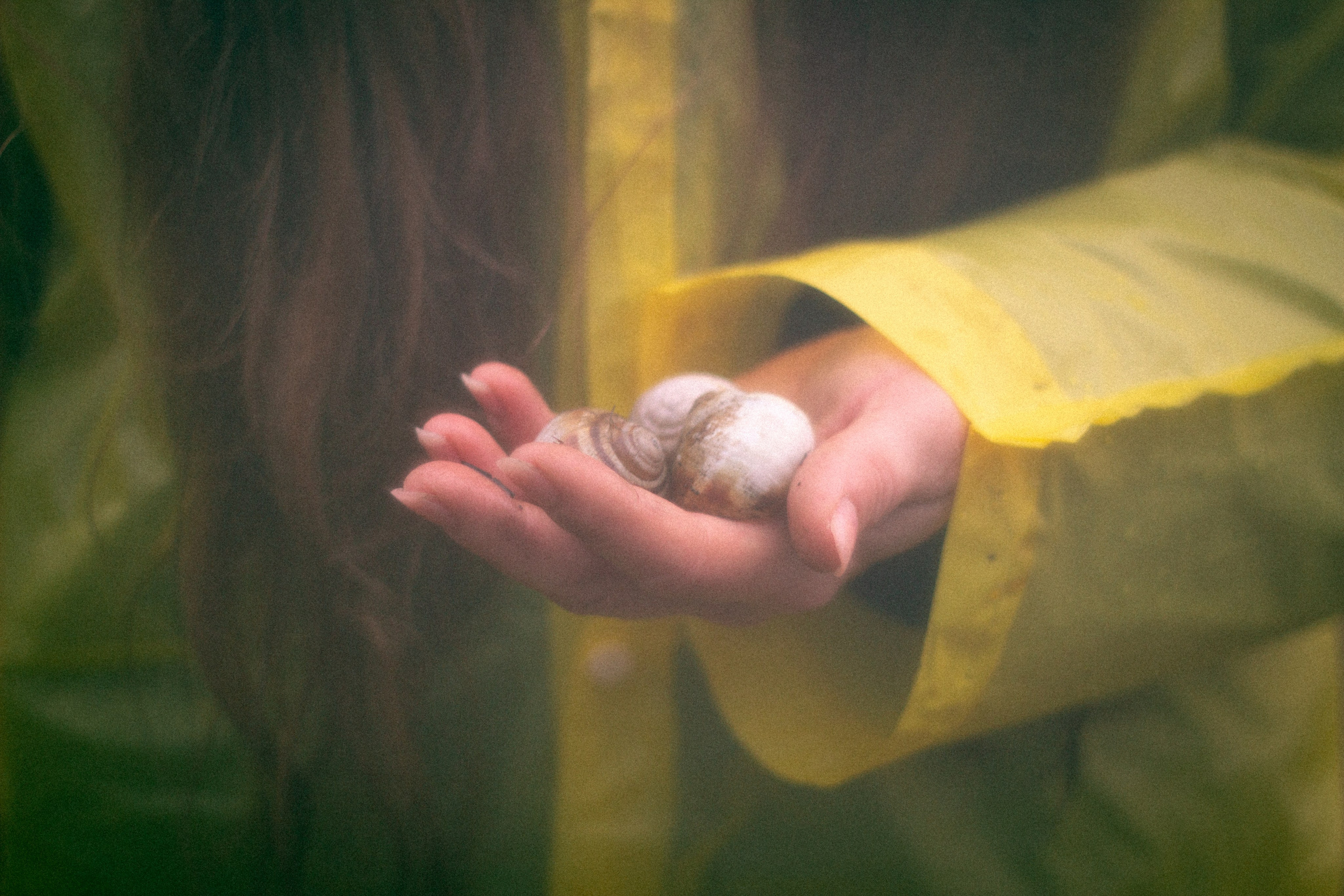 Туманная осень. • Фотограф Александра Светозар Алчевск •