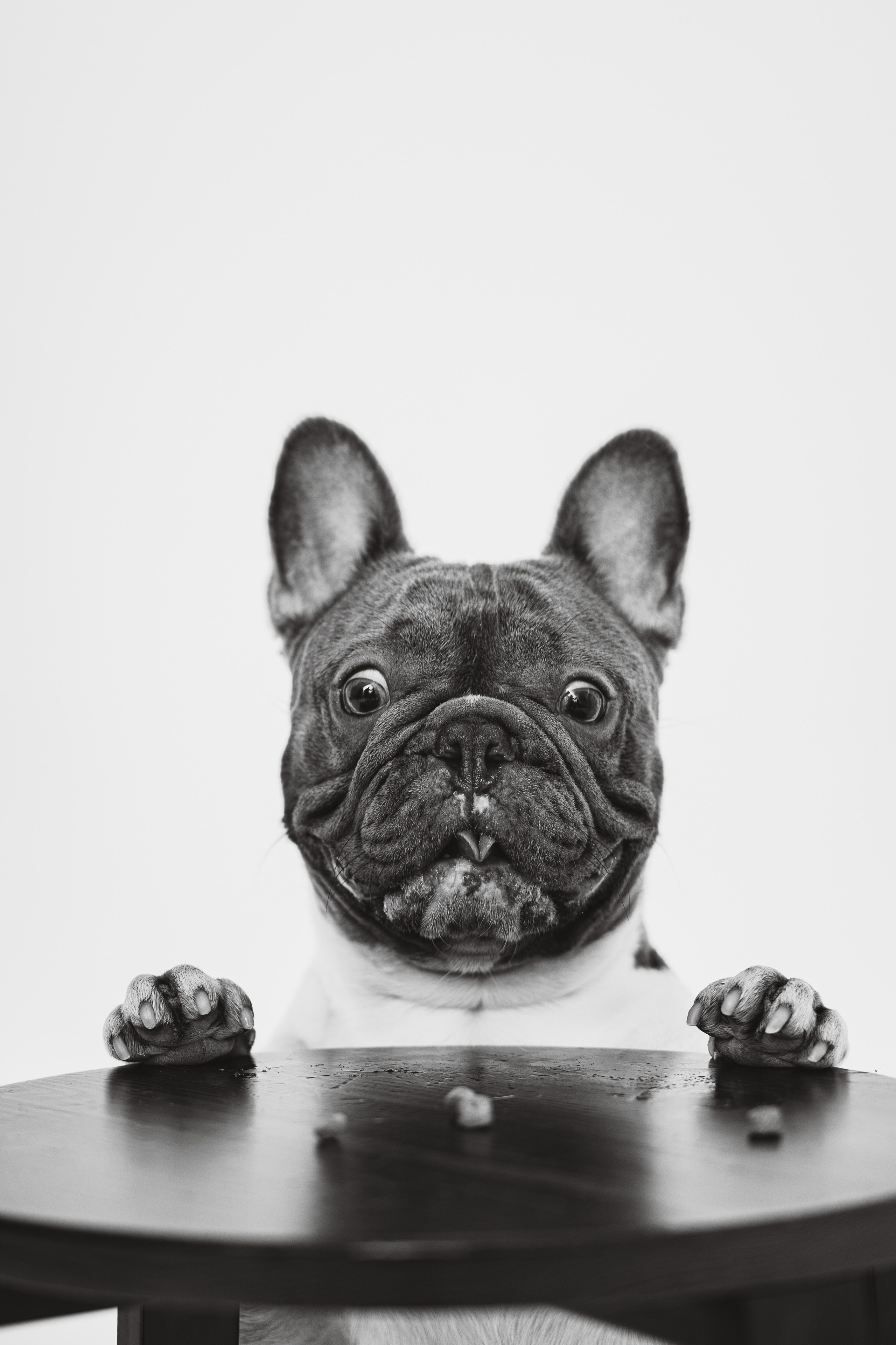 Екатерина, Виталий и Ричи