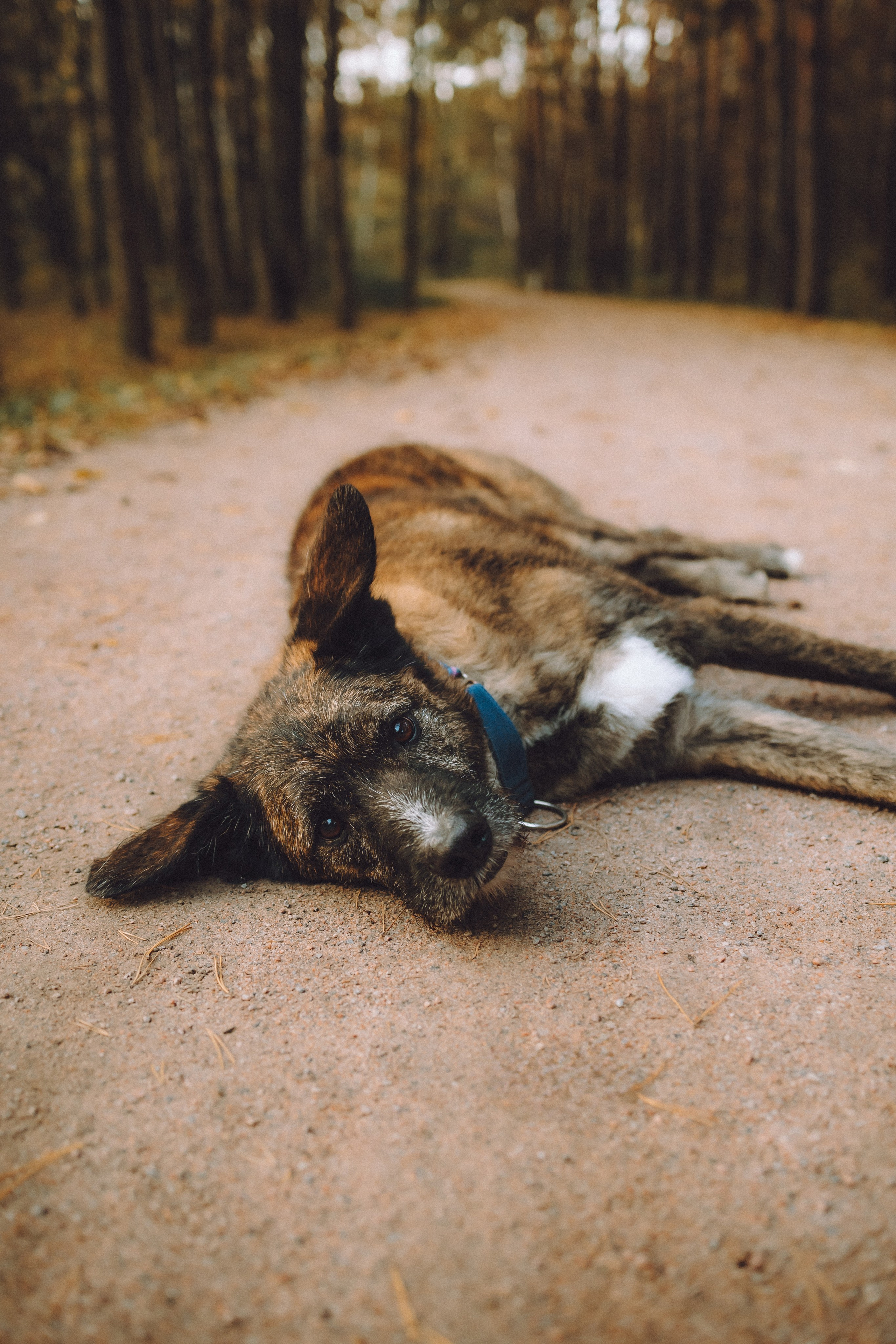 Рик, Джек и их семья