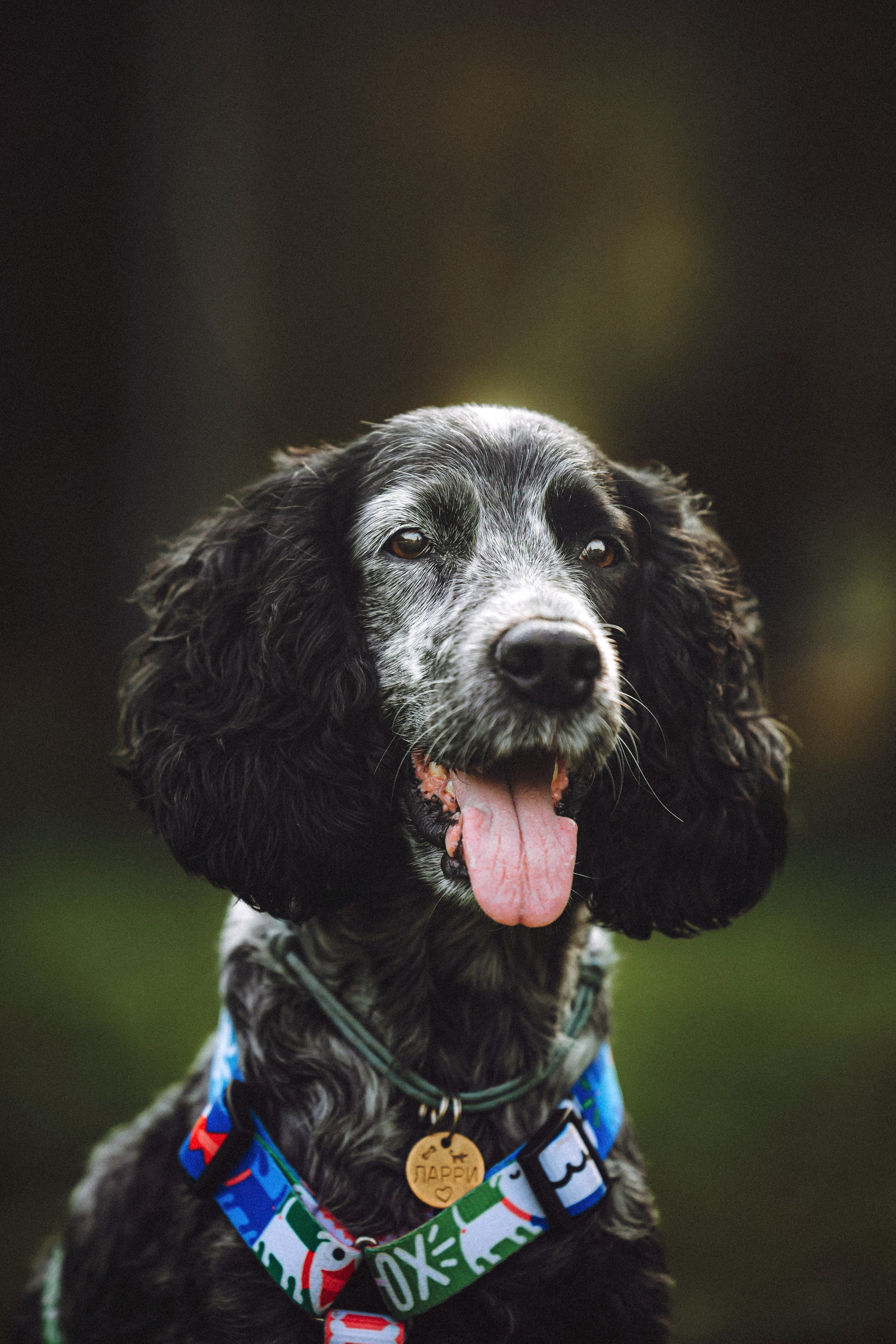 Маша и Ларри