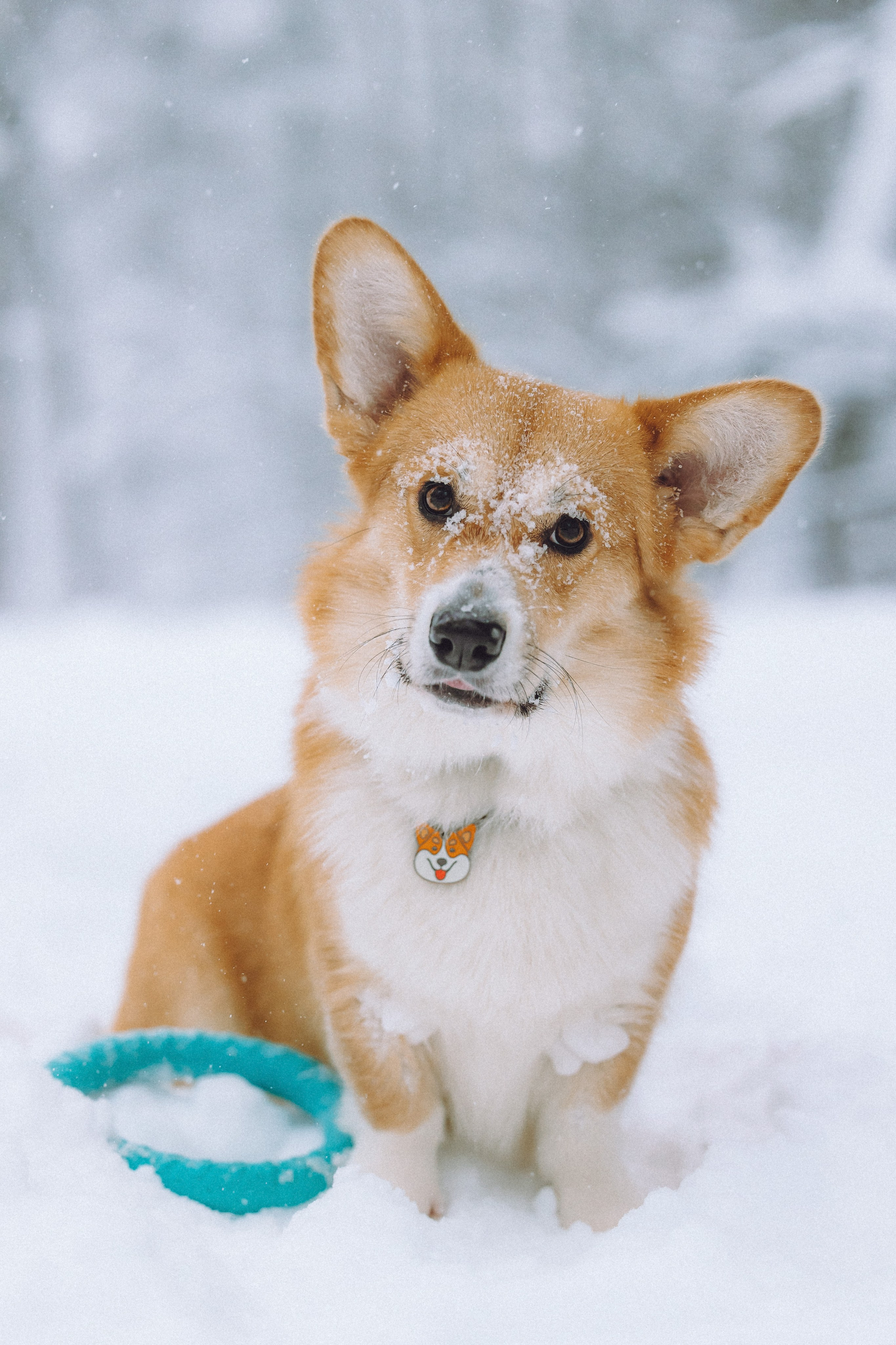 Юля и Юпитер