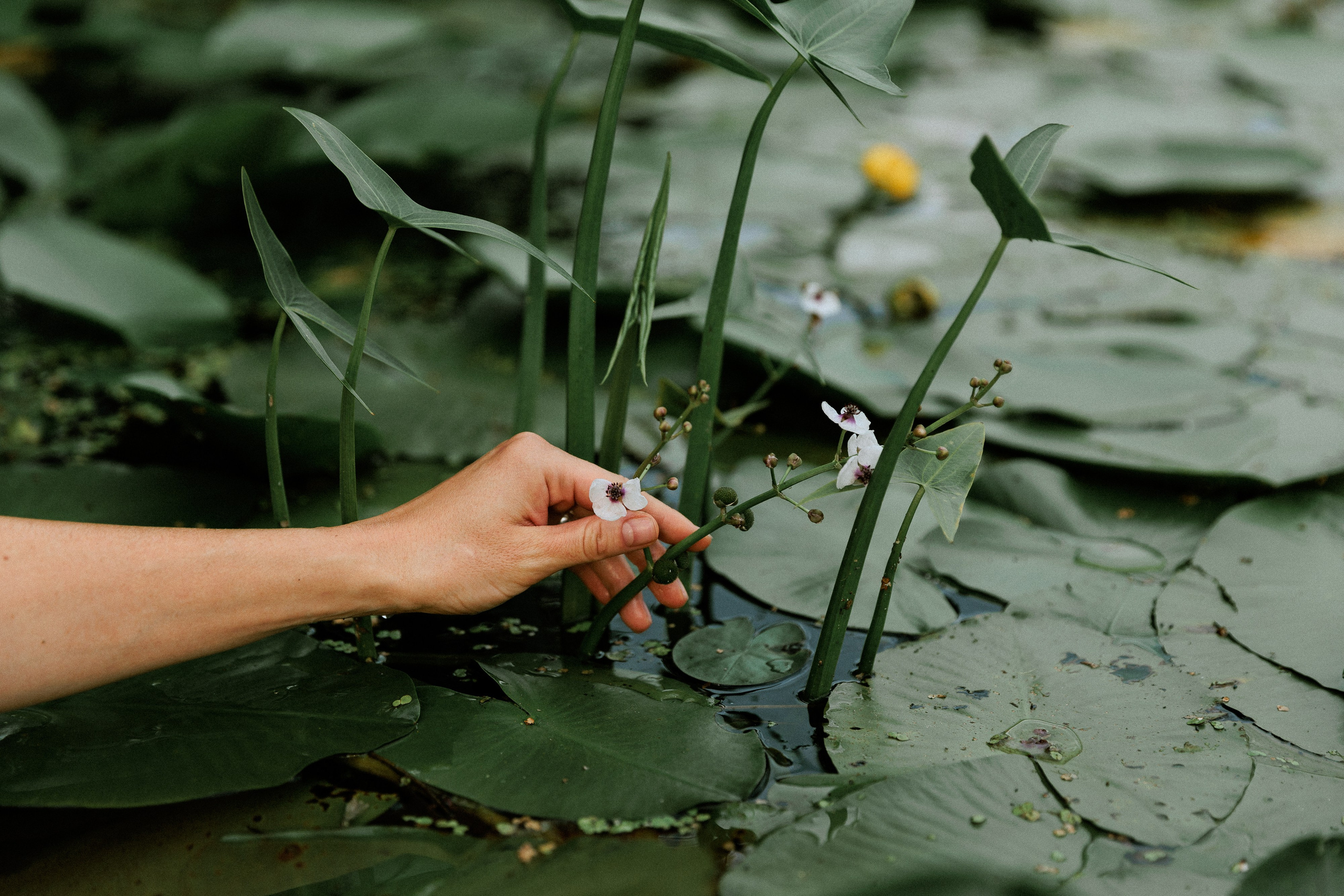 Настя. Фотограф в Москве Людмила Малова