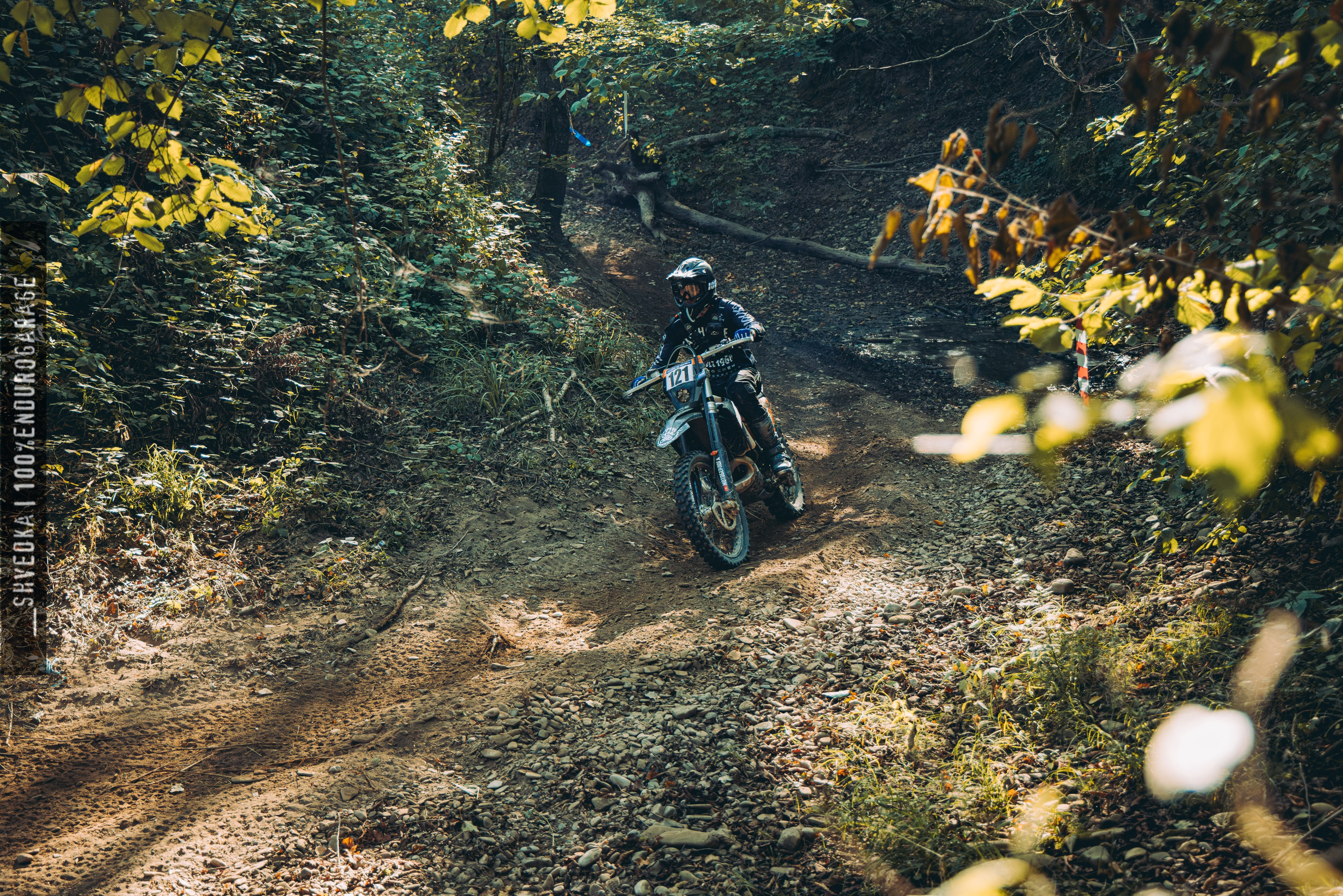 2 лесной день. Ваш экстрим фотограф Кудрева Яна